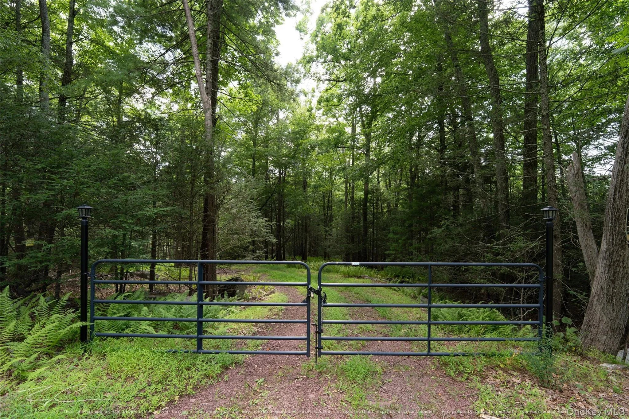 Old Plank Road, Forestburgh, NY, ,Land,For Rent,Old Plank,0,1043667 Old Plank Road, Forestburgh, NY, ,Land,For Rent,Old Plank,0,1043667