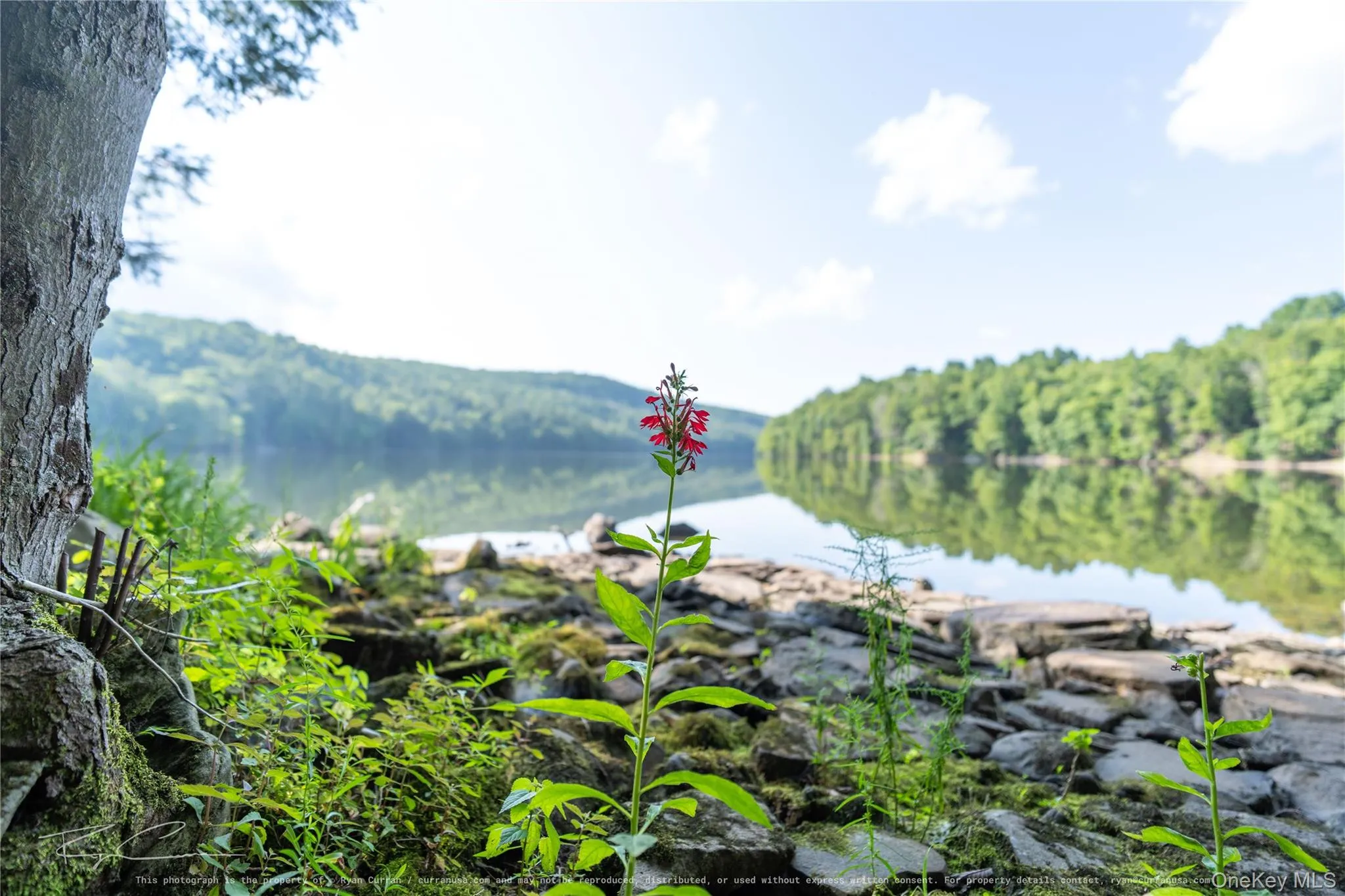 Old Plank Road, Forestburgh, NY, ,Land,For Rent,Old Plank,0,1043667 Old Plank Road, Forestburgh, NY, ,Land,For Rent,Old Plank,0,1043667
