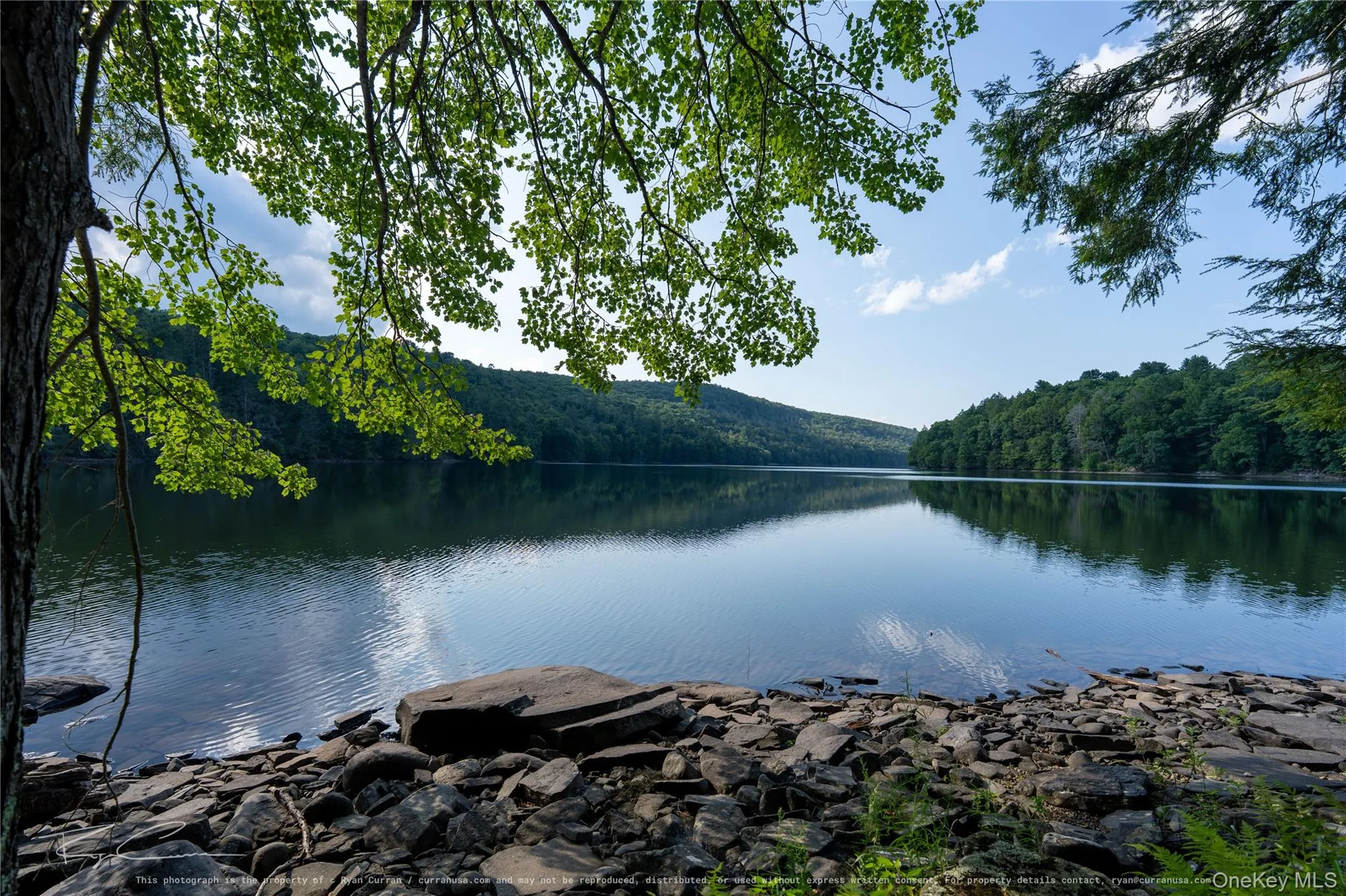 Old Plank Road, Forestburgh, NY, ,Land,For Rent,Old Plank,0,1043667 Old Plank Road, Forestburgh, NY, ,Land,For Rent,Old Plank,0,1043667