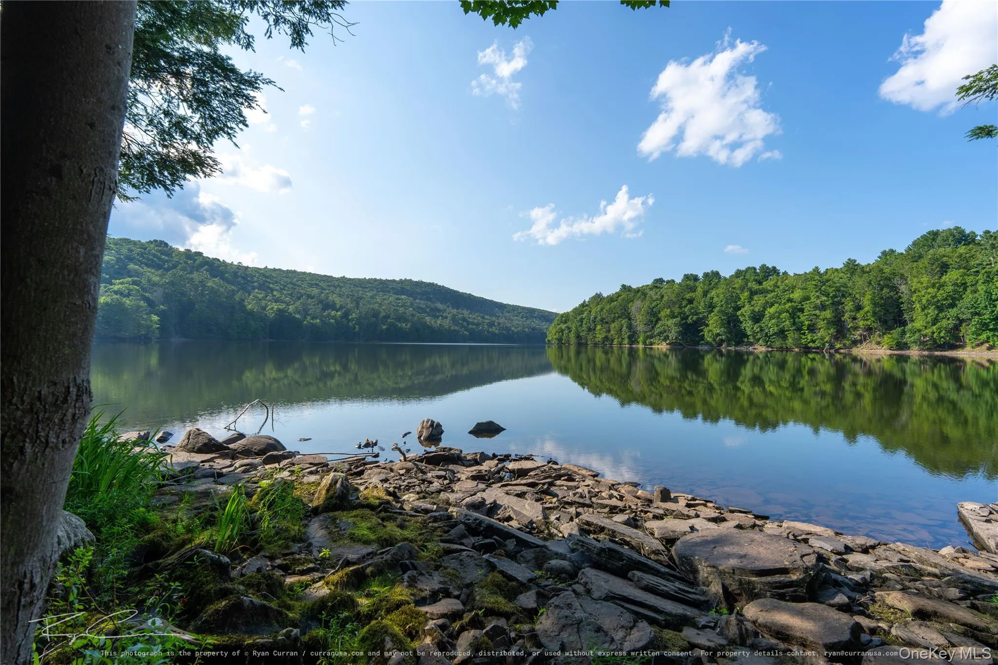 Old Plank Road, Forestburgh, NY, ,Land,For Rent,Old Plank,0,1043667 Old Plank Road, Forestburgh, NY, ,Land,For Rent,Old Plank,0,1043667