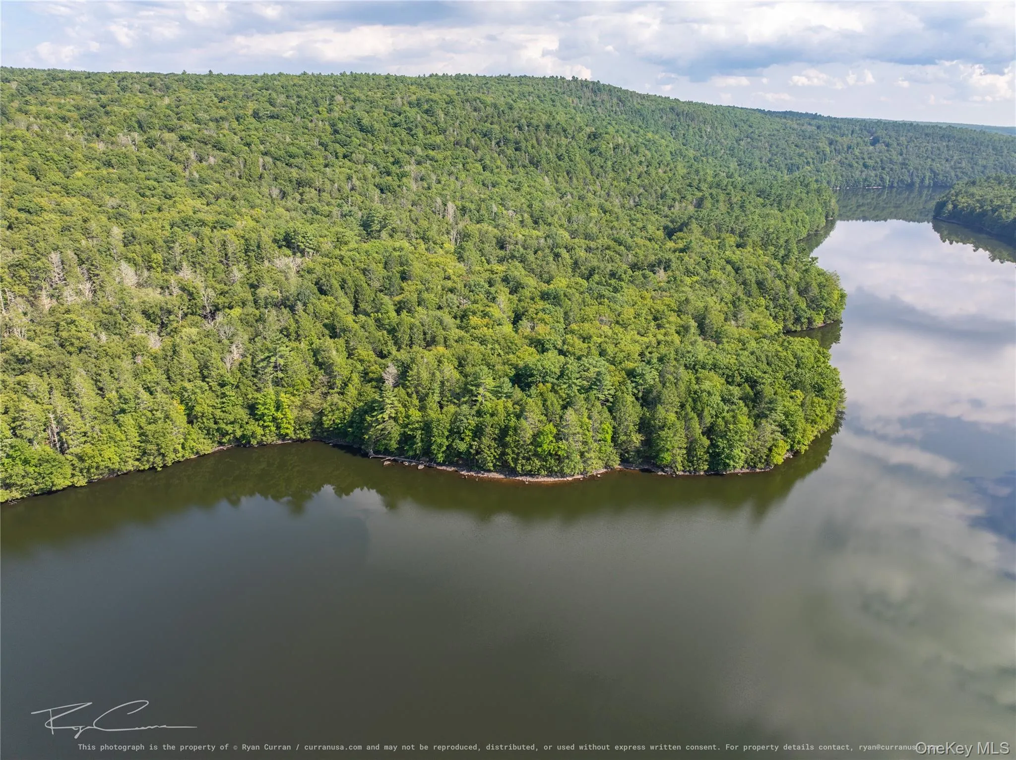 Old Plank Road, Forestburgh, NY, ,Land,For Rent,Old Plank,0,1043667 Old Plank Road, Forestburgh, NY, ,Land,For Rent,Old Plank,0,1043667