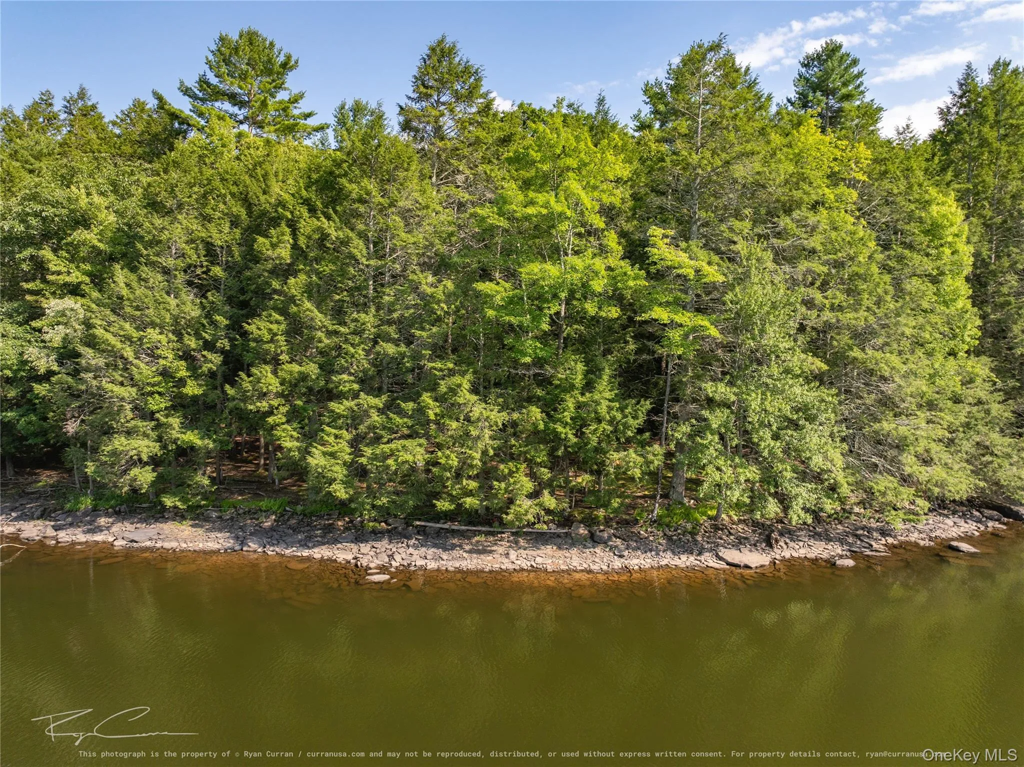 Old Plank Road, Forestburgh, NY, ,Land,For Rent,Old Plank,0,1043667 Old Plank Road, Forestburgh, NY, ,Land,For Rent,Old Plank,0,1043667