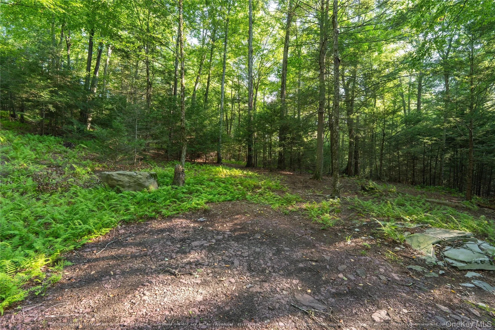 Old Plank Road, Forestburgh, NY, ,Land,For Rent,Old Plank,0,1043667 Old Plank Road, Forestburgh, NY, ,Land,For Rent,Old Plank,0,1043667