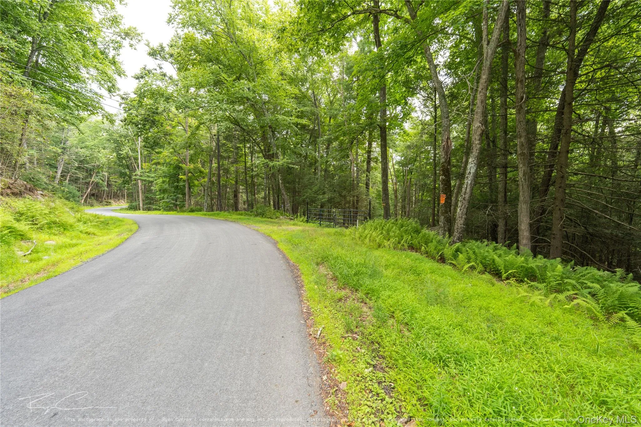 Old Plank Road, Forestburgh, NY, ,Land,For Rent,Old Plank,0,1043667 Old Plank Road, Forestburgh, NY, ,Land,For Rent,Old Plank,0,1043667