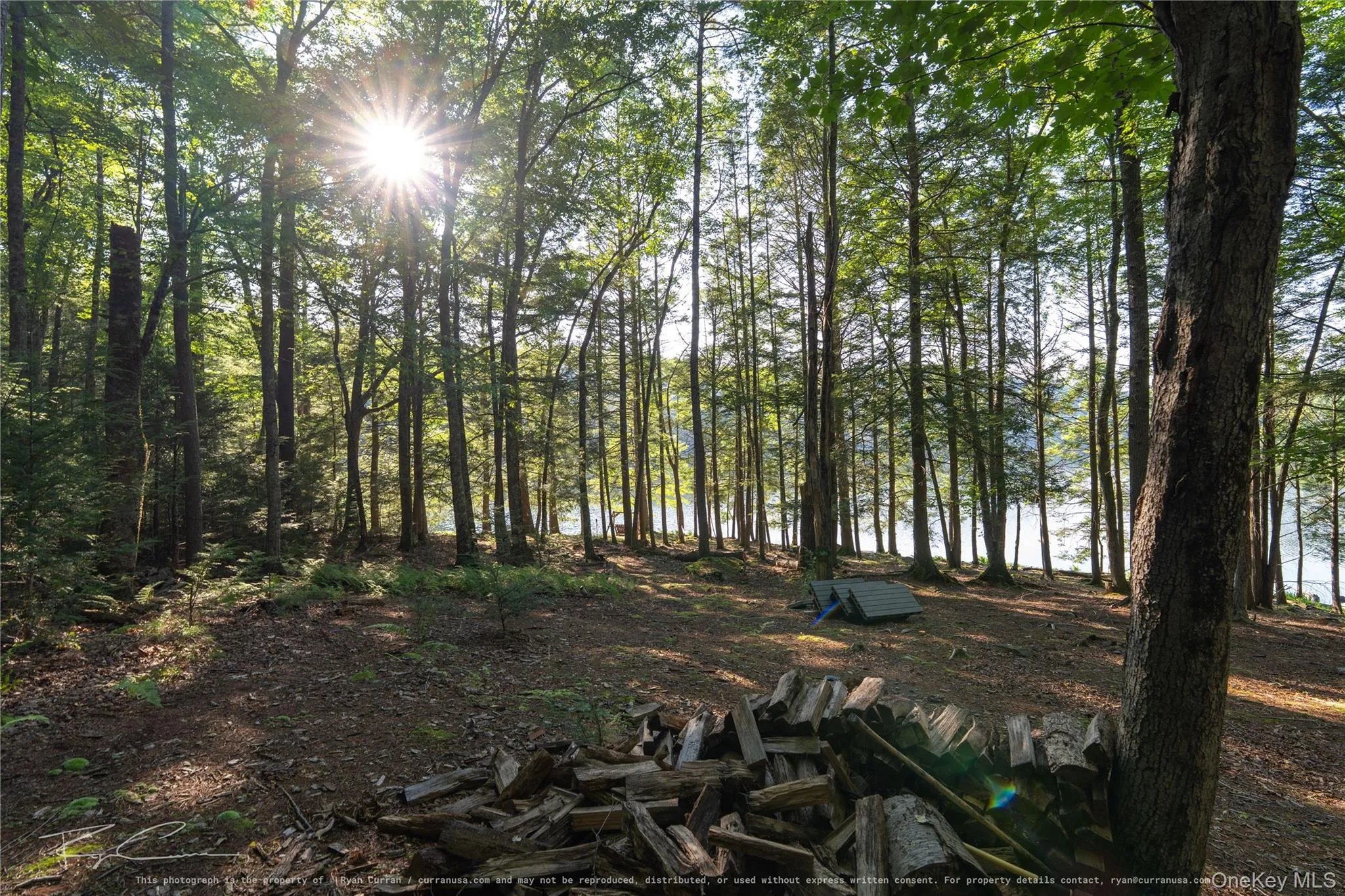 Old Plank Road, Forestburgh, NY, ,Land,For Rent,Old Plank,0,1043667 Old Plank Road, Forestburgh, NY, ,Land,For Rent,Old Plank,0,1043667