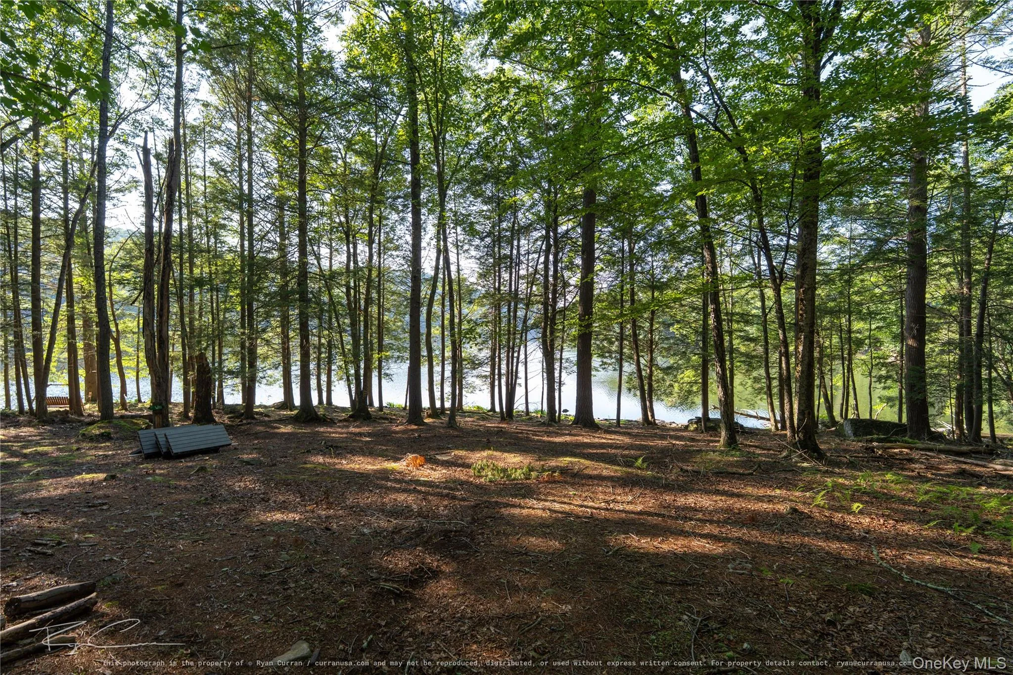 Old Plank Road, Forestburgh, NY, ,Land,For Rent,Old Plank,0,1043667 Old Plank Road, Forestburgh, NY, ,Land,For Rent,Old Plank,0,1043667