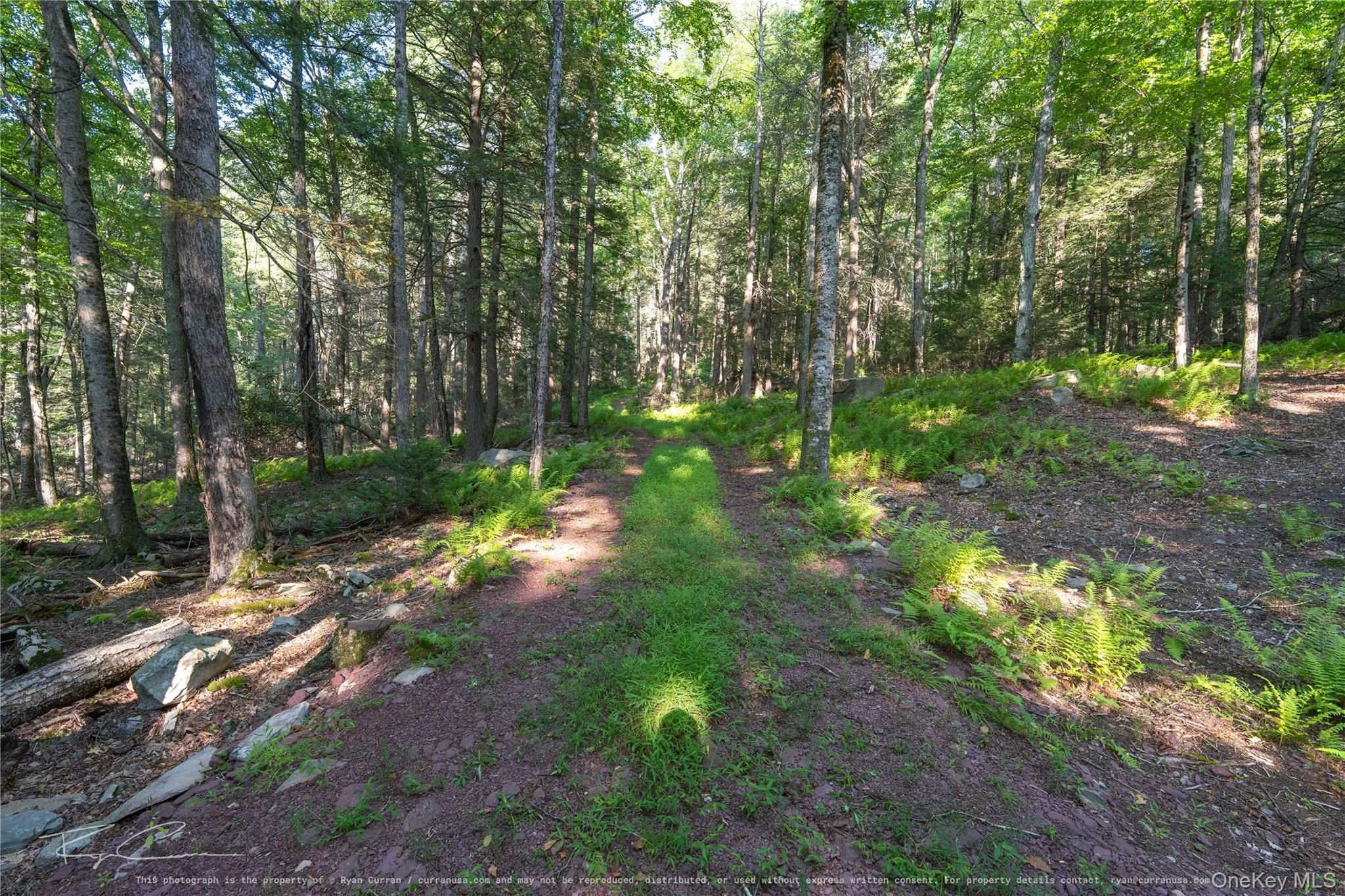 Old Plank Road, Forestburgh, NY, ,Land,For Rent,Old Plank,0,1043667 Old Plank Road, Forestburgh, NY, ,Land,For Rent,Old Plank,0,1043667