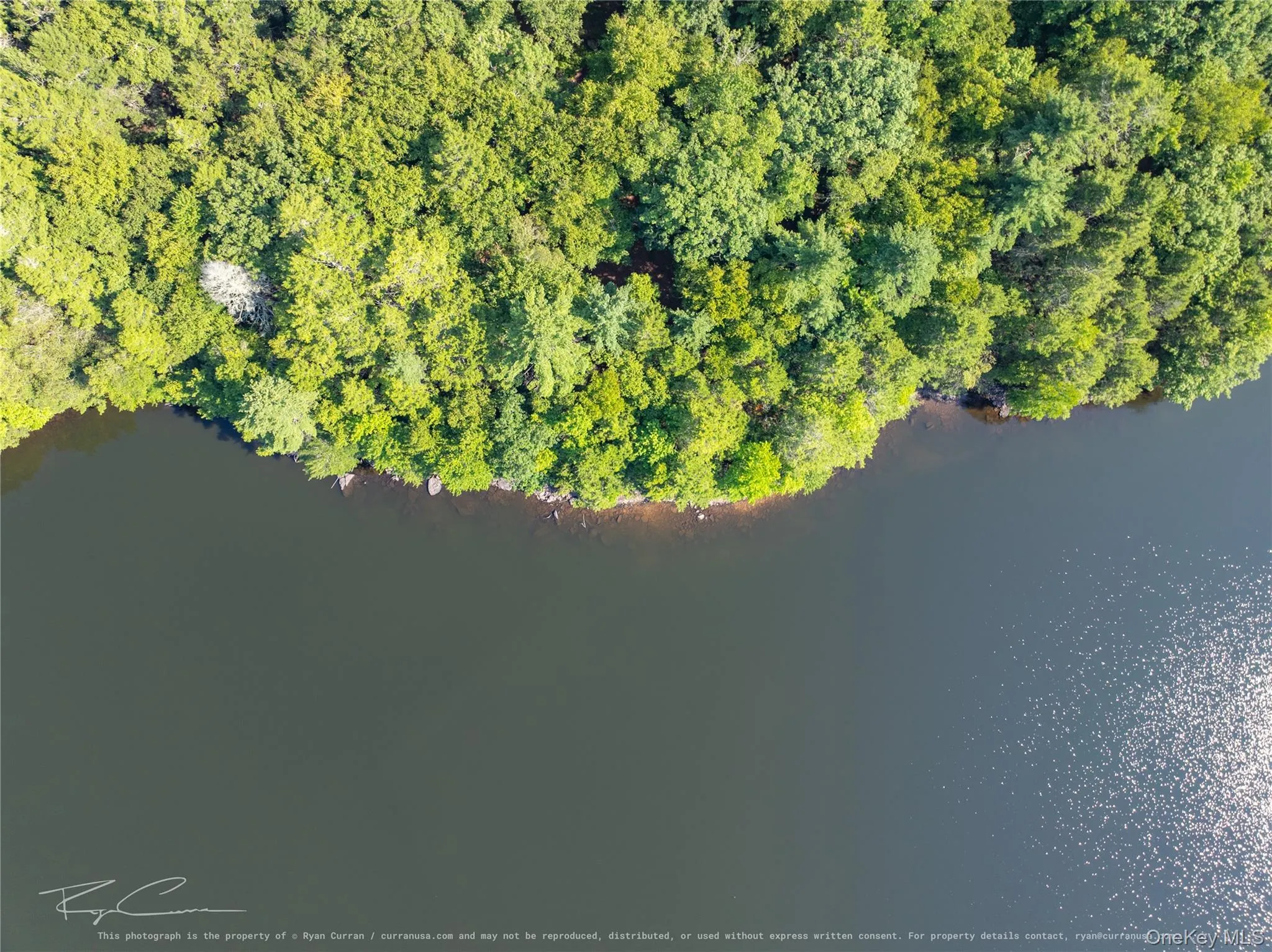 Old Plank Road, Forestburgh, NY, ,Land,For Rent,Old Plank,0,1043667 Old Plank Road, Forestburgh, NY, ,Land,For Rent,Old Plank,0,1043667