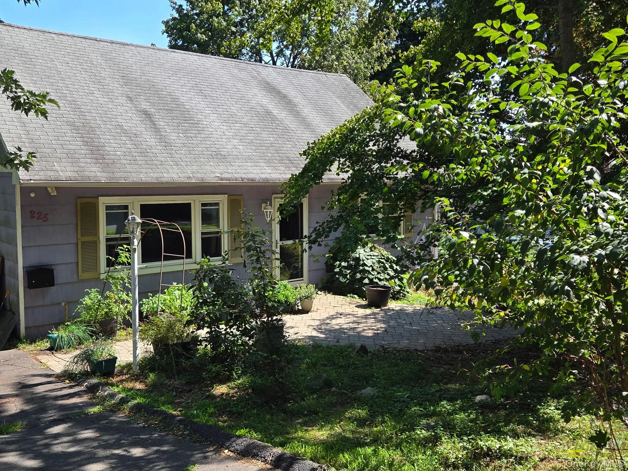 225 Harrison Avenue, Clarkstown, NY, 3 Bedrooms Bedrooms, 6 Rooms Rooms,2 BathroomsBathrooms,Residential,For Rent,Harrison,0,1043669 225 Harrison Avenue, Clarkstown, NY, 3 Bedrooms Bedrooms, 6 Rooms Rooms,2 BathroomsBathrooms,Residential,For Rent,Harrison,0,1043669