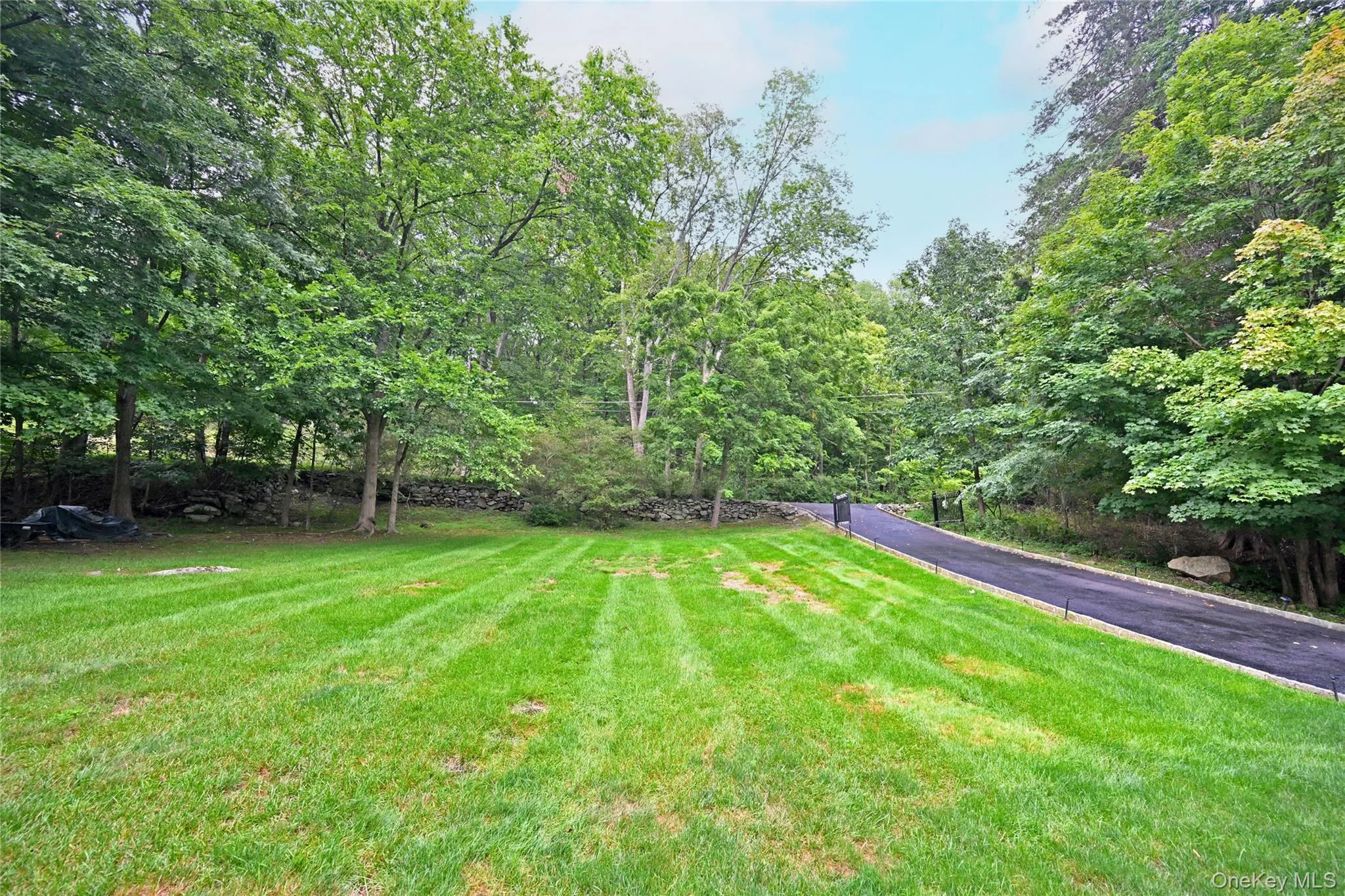 Driveway and front yard Driveway and front yard
