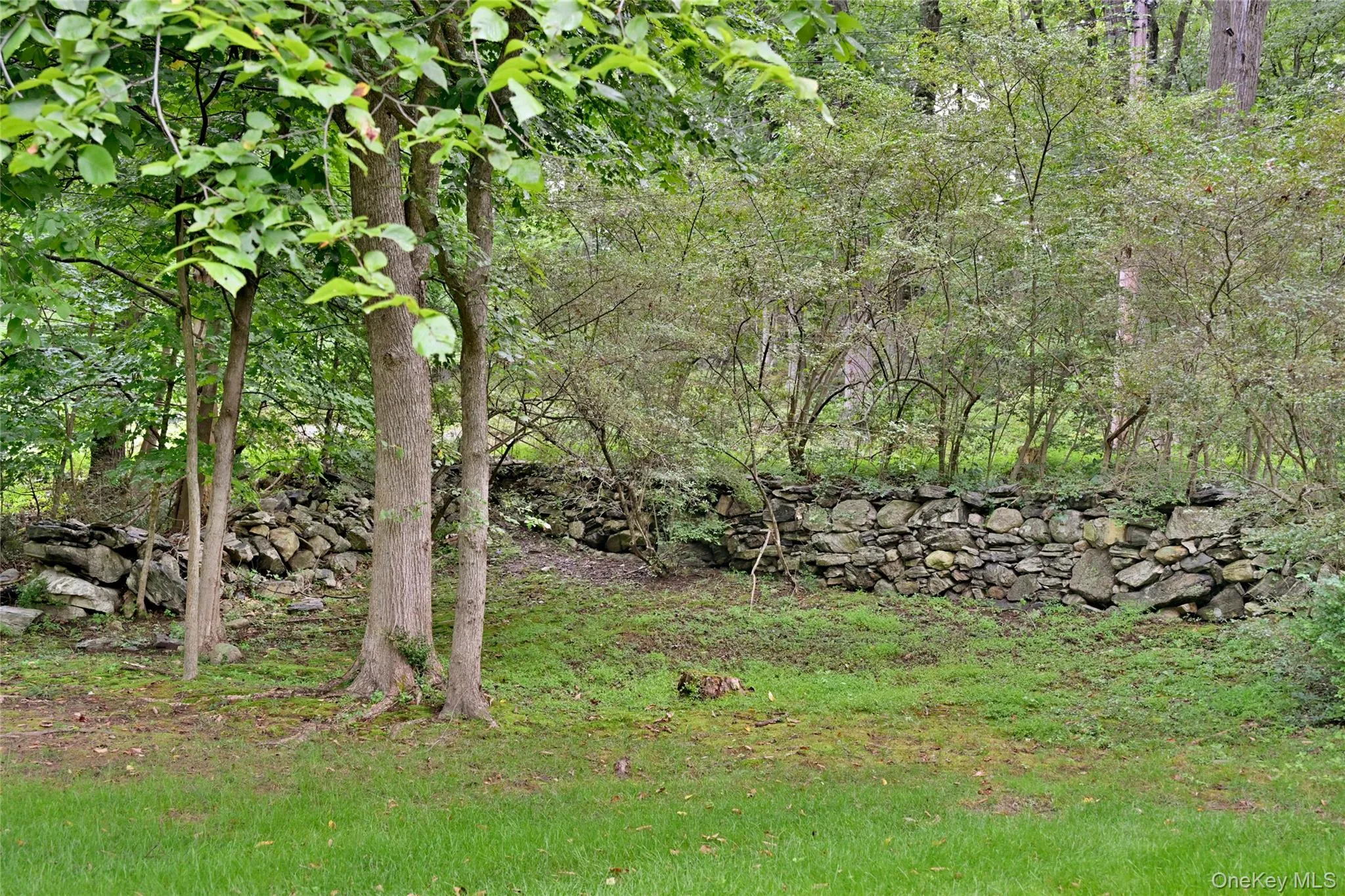 magical yard magical yard