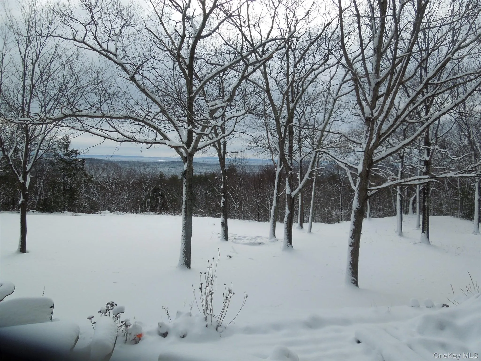231 Manorville Road, Saugerties, NY, 4 Bedrooms Bedrooms, 9 Rooms Rooms,2 BathroomsBathrooms,Residential,For Rent,Manorville,0,1043702 231 Manorville Road, Saugerties, NY, 4 Bedrooms Bedrooms, 9 Rooms Rooms,2 BathroomsBathrooms,Residential,For Rent,Manorville,0,1043702