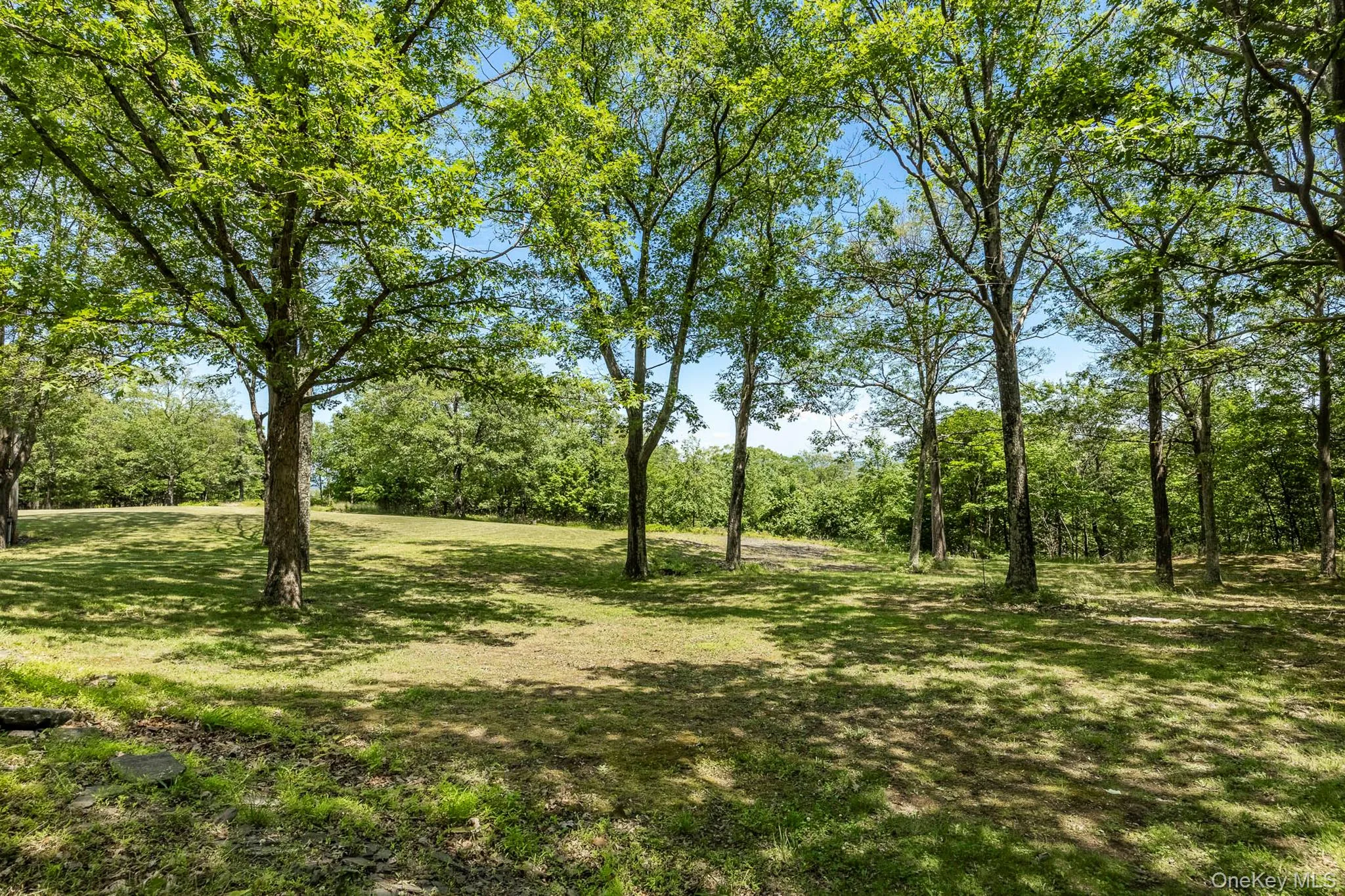 231 Manorville Road, Saugerties, NY, 4 Bedrooms Bedrooms, 9 Rooms Rooms,2 BathroomsBathrooms,Residential,For Rent,Manorville,0,1043702 231 Manorville Road, Saugerties, NY, 4 Bedrooms Bedrooms, 9 Rooms Rooms,2 BathroomsBathrooms,Residential,For Rent,Manorville,0,1043702