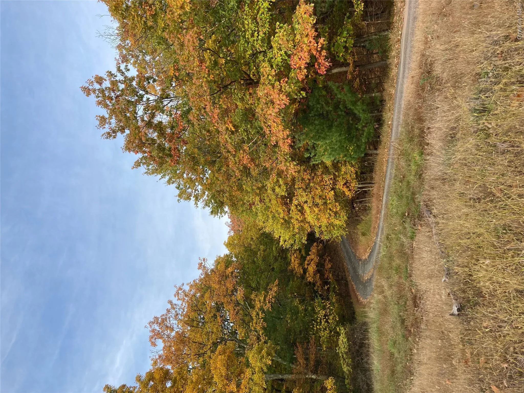 231 Manorville Road, Saugerties, NY, 4 Bedrooms Bedrooms, 9 Rooms Rooms,2 BathroomsBathrooms,Residential,For Rent,Manorville,0,1043702 231 Manorville Road, Saugerties, NY, 4 Bedrooms Bedrooms, 9 Rooms Rooms,2 BathroomsBathrooms,Residential,For Rent,Manorville,0,1043702