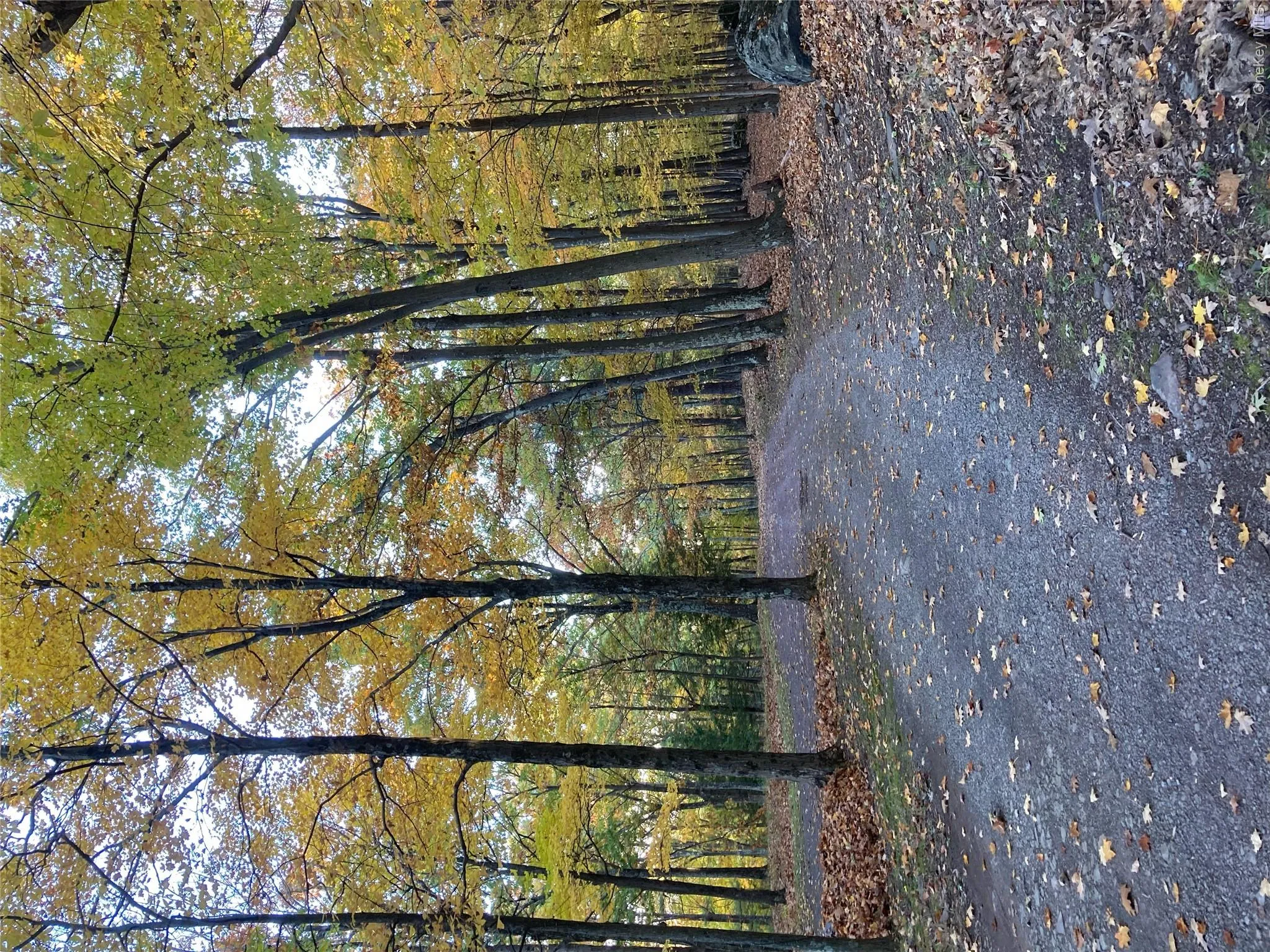 231 Manorville Road, Saugerties, NY, 4 Bedrooms Bedrooms, 9 Rooms Rooms,2 BathroomsBathrooms,Residential,For Rent,Manorville,0,1043702 231 Manorville Road, Saugerties, NY, 4 Bedrooms Bedrooms, 9 Rooms Rooms,2 BathroomsBathrooms,Residential,For Rent,Manorville,0,1043702