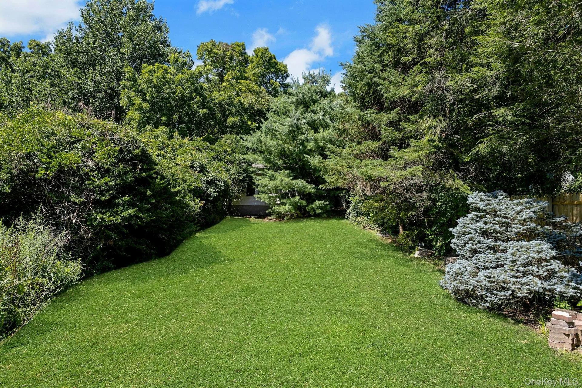 Great privacy on level back yard Great privacy on level back yard
