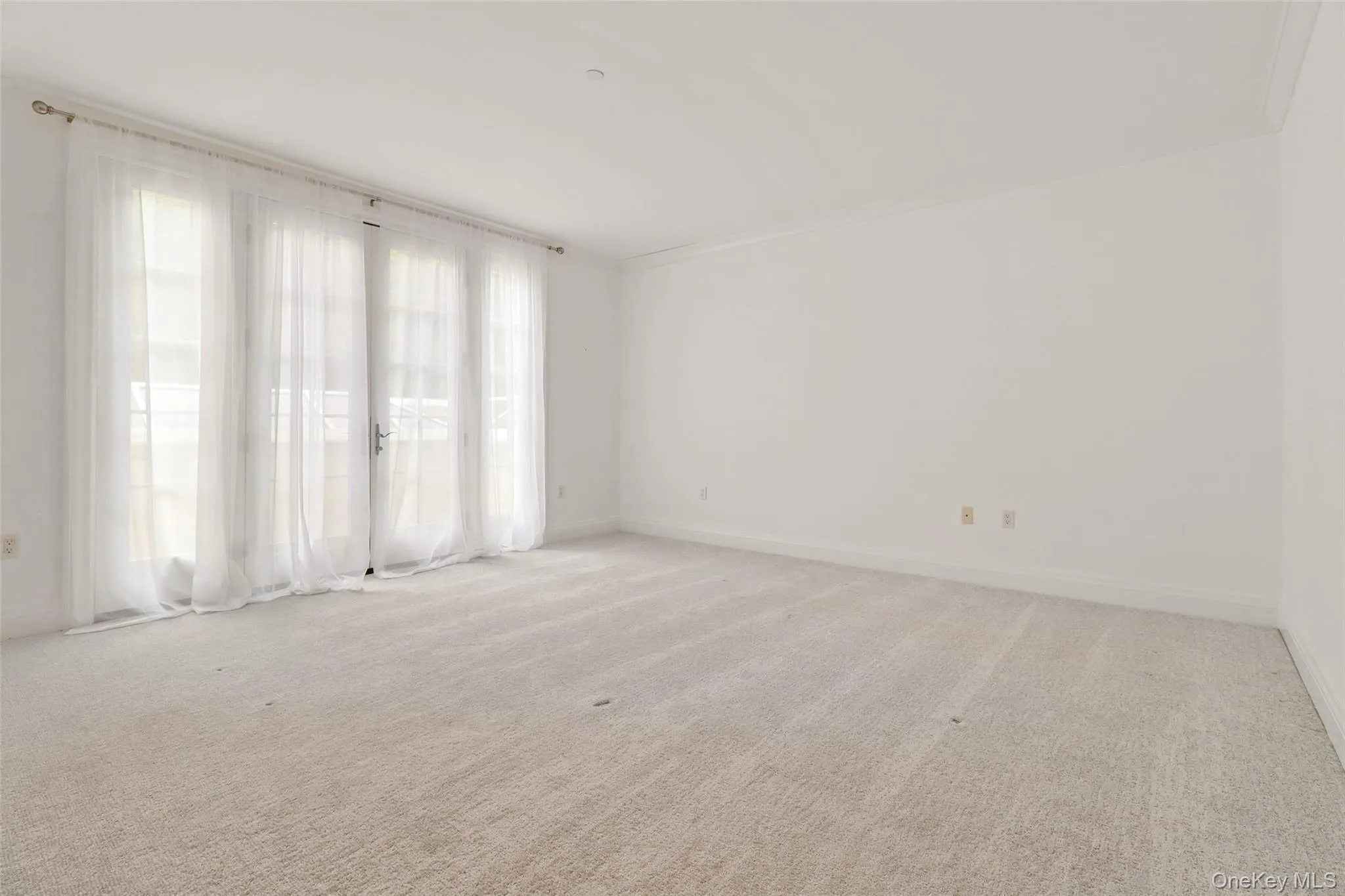 Abundance of natural light ! Abundance of natural light !