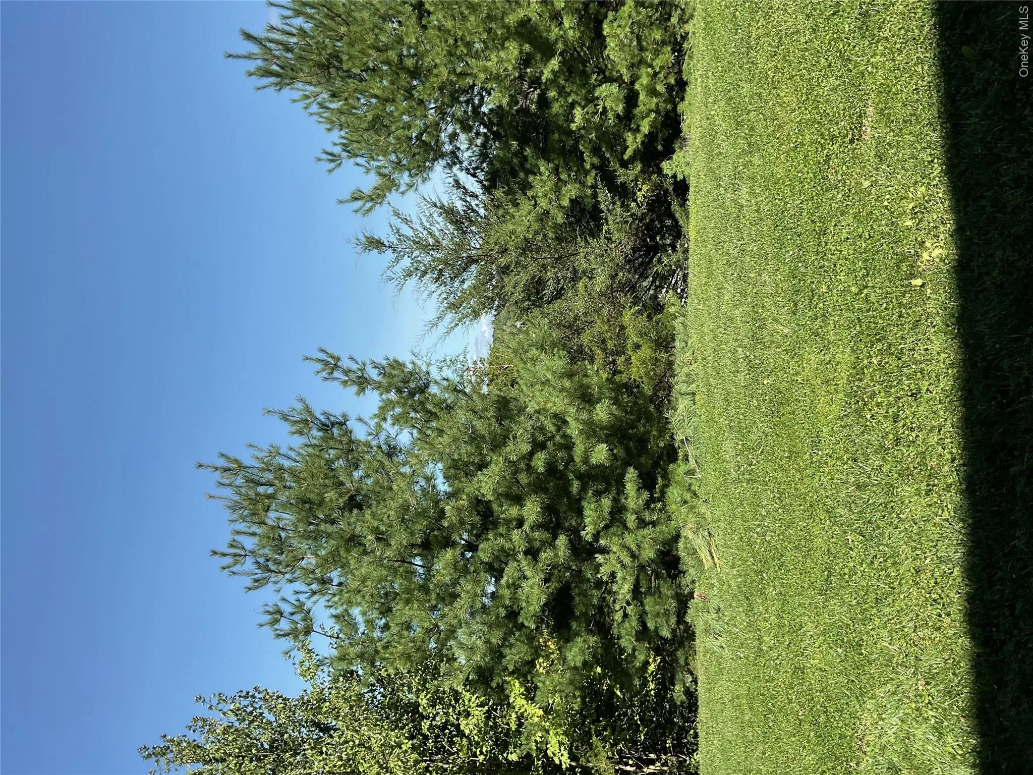 246 Orleans Road, Newburgh (town), NY, 3 Bedrooms Bedrooms, 7 Rooms Rooms,2 BathroomsBathrooms,Residential,For Rent,Orleans,0,1043867 246 Orleans Road, Newburgh (town), NY, 3 Bedrooms Bedrooms, 7 Rooms Rooms,2 BathroomsBathrooms,Residential,For Rent,Orleans,0,1043867