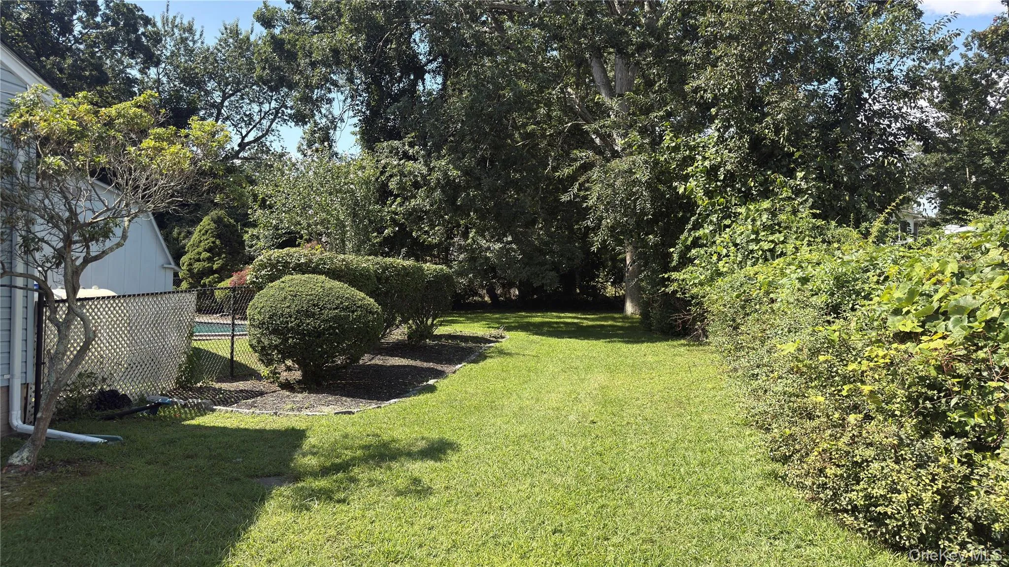 Expansive grass lawn with mature trees and established shrubbery Expansive grass lawn with mature trees and established shrubbery