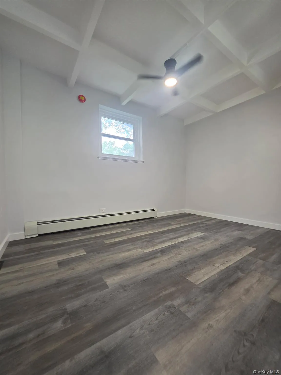 144-15 Charter, New York, NY, 1 Bedroom Bedrooms, 4 Rooms Rooms,1 BathroomBathrooms,Residential,For Rent,Charter,0,1043885 144-15 Charter, New York, NY, 1 Bedroom Bedrooms, 4 Rooms Rooms,1 BathroomBathrooms,Residential,For Rent,Charter,0,1043885