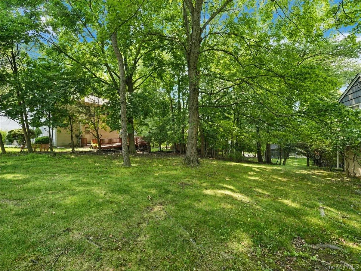 Adjacent Lot Adjacent Lot