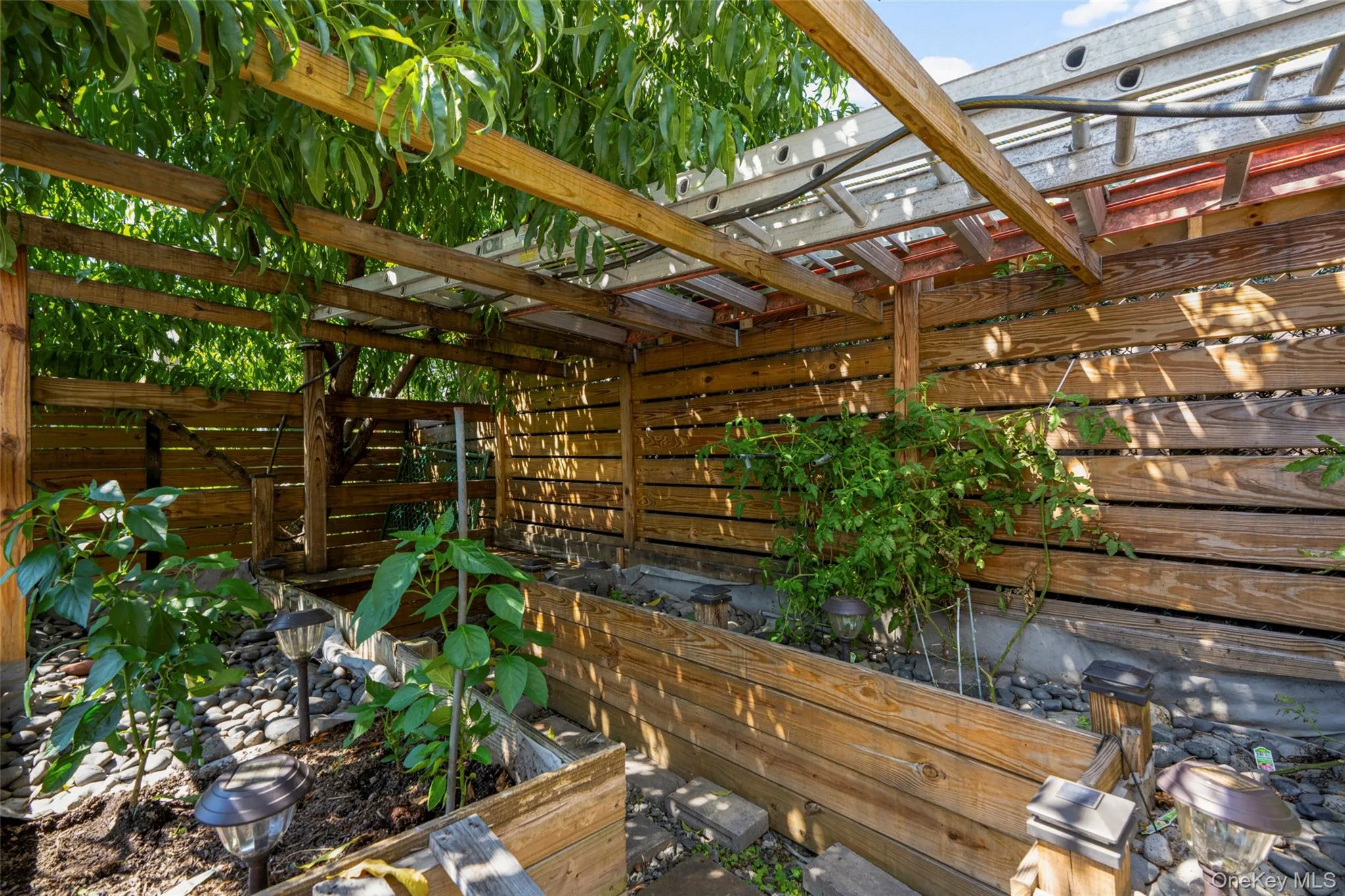 63 Storm Street, Greenburgh, NY, 2 Bedrooms Bedrooms, 4 Rooms Rooms,1 BathroomBathrooms,Residential Lease,For Rent,Storm,0,1043895 63 Storm Street, Greenburgh, NY, 2 Bedrooms Bedrooms, 4 Rooms Rooms,1 BathroomBathrooms,Residential Lease,For Rent,Storm,0,1043895