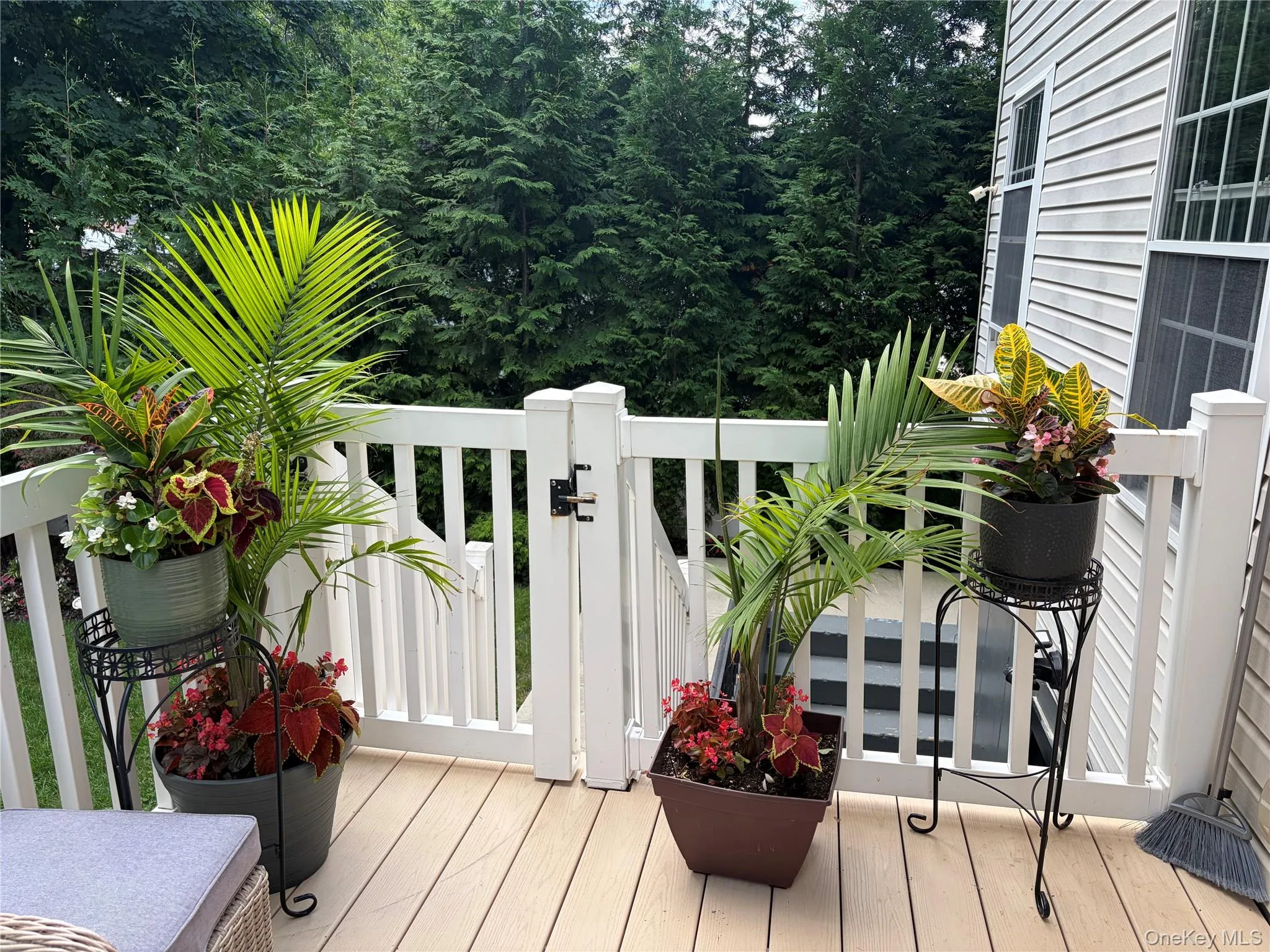 134 Park Ave New Hyde Park, North Hempstead, NY, 4 Bedrooms Bedrooms, 10 Rooms Rooms,2 BathroomsBathrooms,Residential,For Rent,New Hyde Park,0,1043909 134 Park Ave New Hyde Park, North Hempstead, NY, 4 Bedrooms Bedrooms, 10 Rooms Rooms,2 BathroomsBathrooms,Residential,For Rent,New Hyde Park,0,1043909