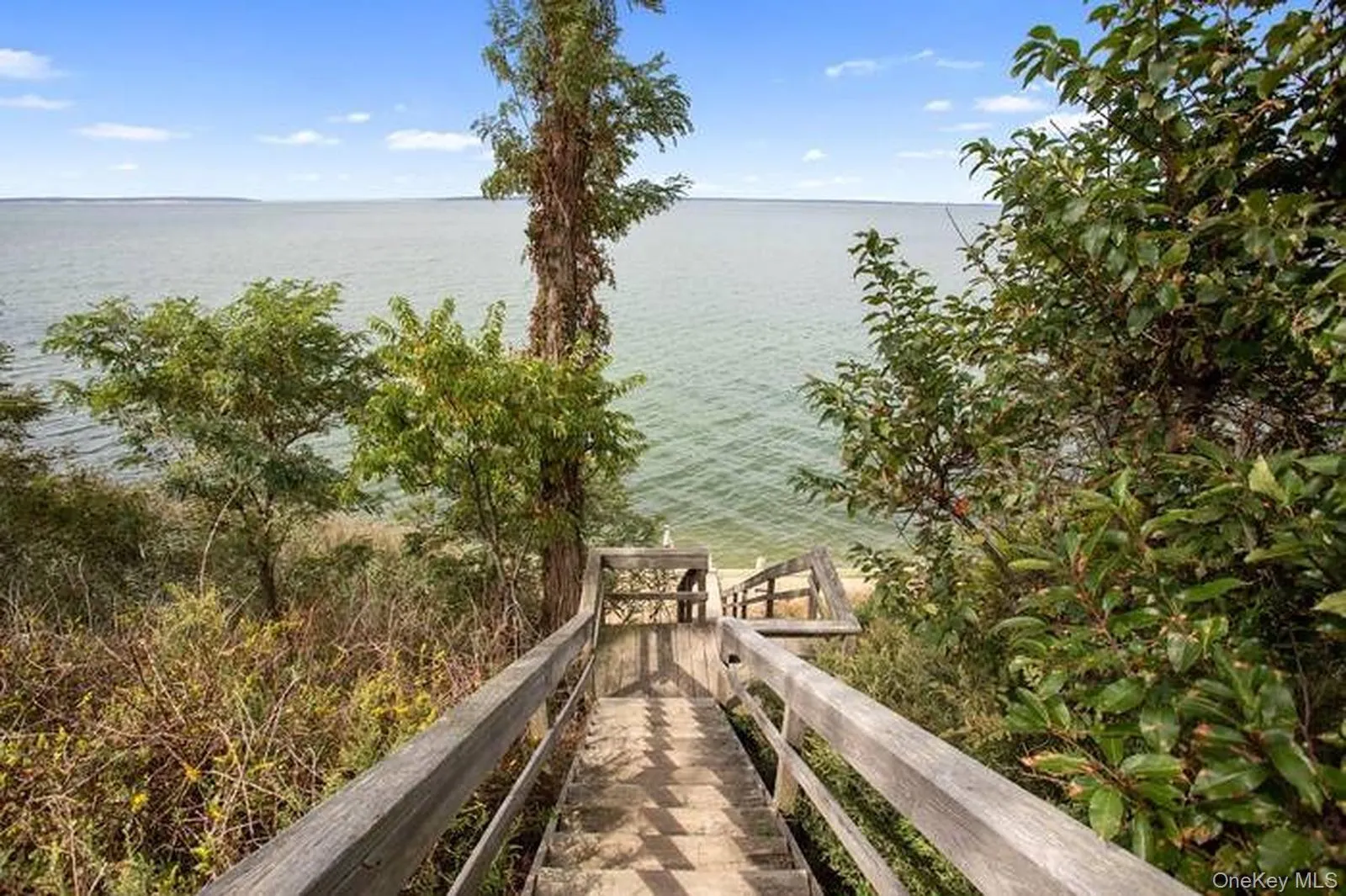 45 Shadyrest Drive, Southampton, NY, 3 Bedrooms Bedrooms, 9 Rooms Rooms,3 BathroomsBathrooms,Residential,For Rent,Shadyrest,0,1043921 45 Shadyrest Drive, Southampton, NY, 3 Bedrooms Bedrooms, 9 Rooms Rooms,3 BathroomsBathrooms,Residential,For Rent,Shadyrest,0,1043921