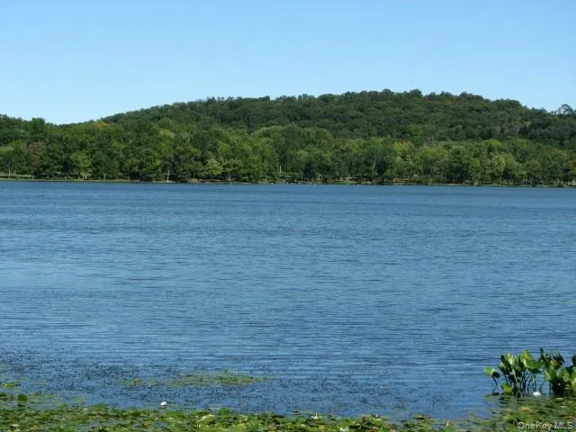 Rockland Lake State Park is also nearby where you can enjoy walking, running and cycling on a 3 mile path around the lake. Simply beautiful! Rockland Lake State Park is also nearby where you can enjoy walking, running and cycling on a 3 mile path around the lake. Simply beautiful!