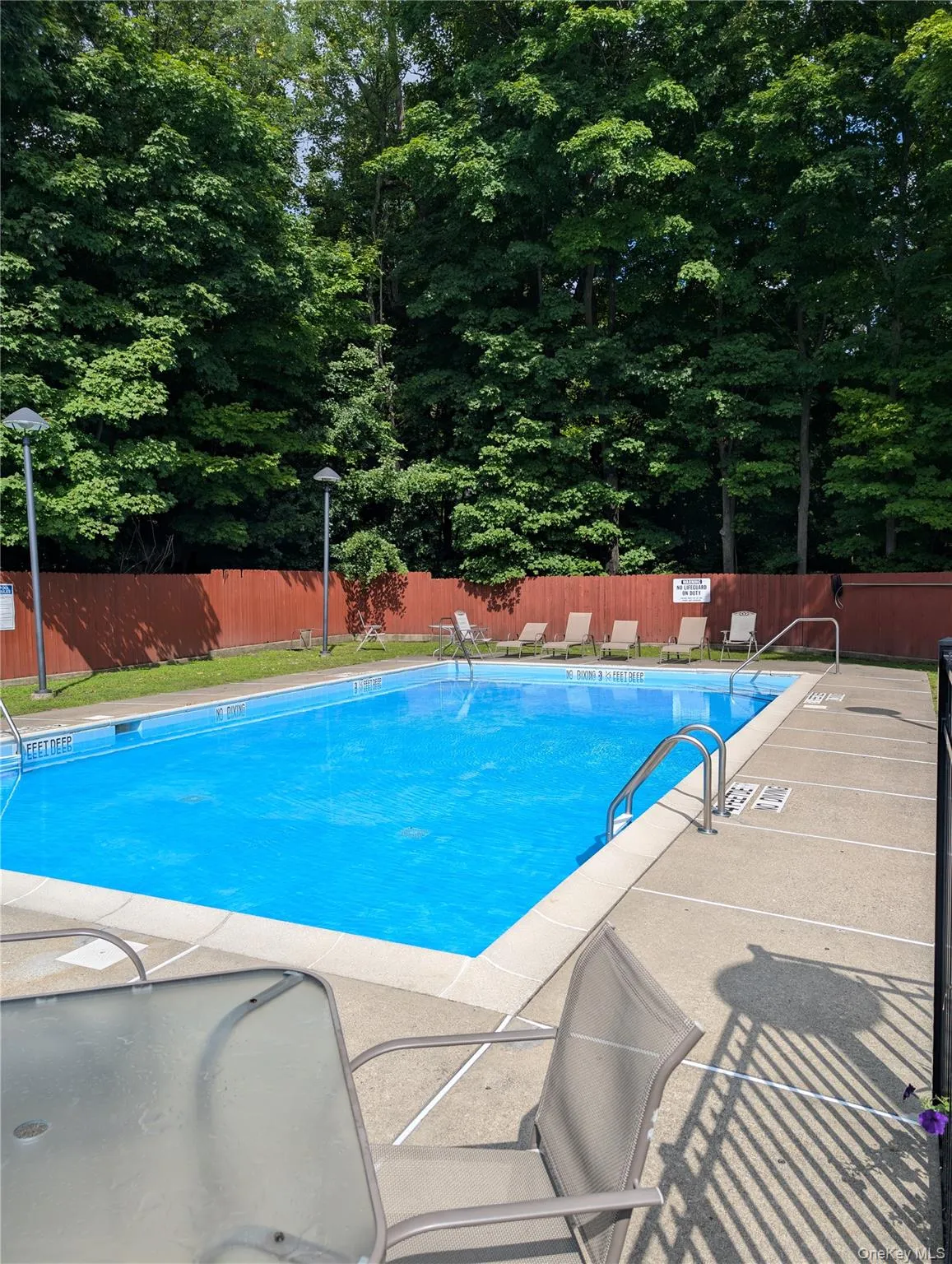 Rectangular swimming pool with concrete decking, surrounding privacy fence, and mature trees Rectangular swimming pool with concrete decking, surrounding privacy fence, and mature trees