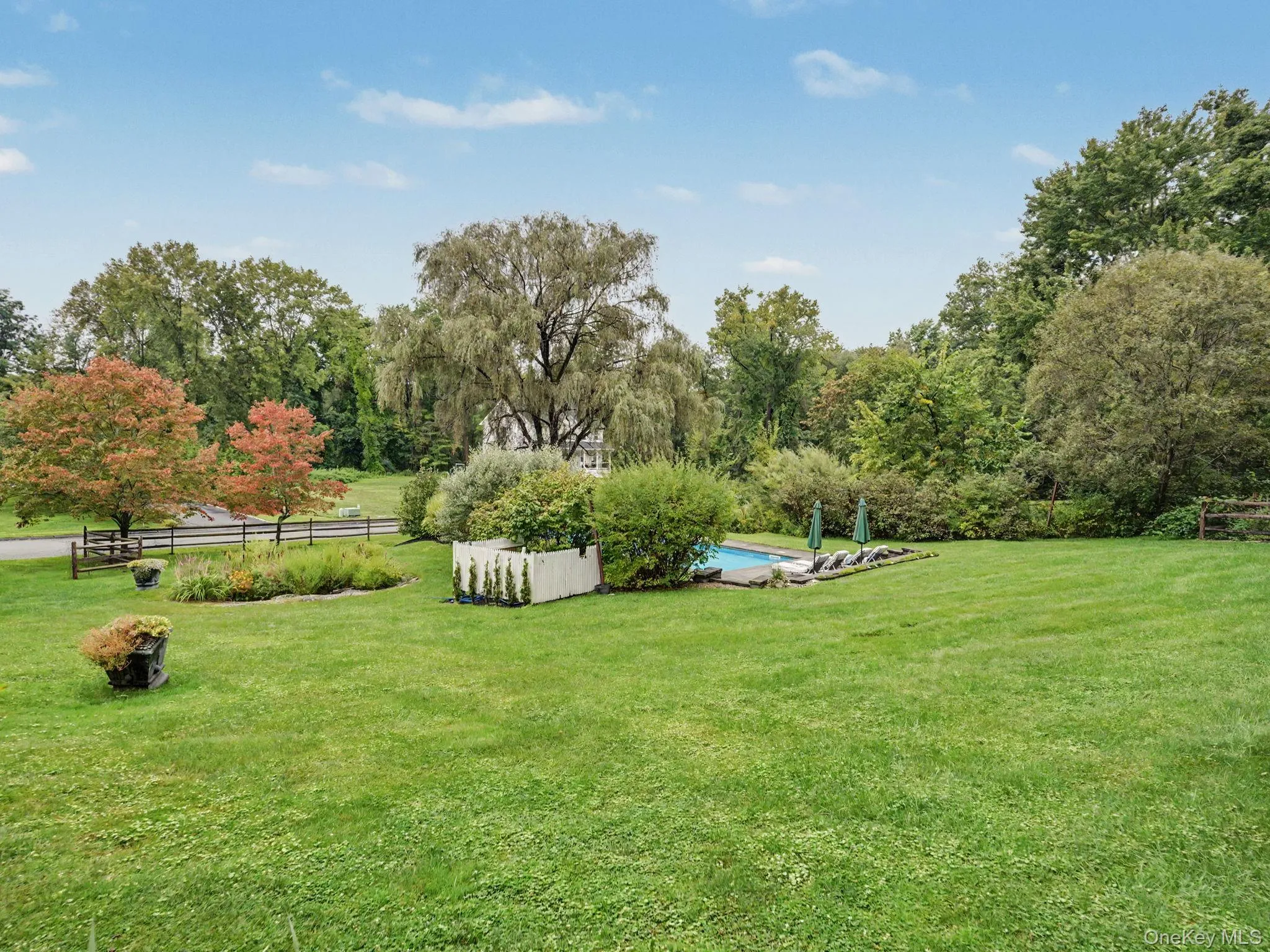 side backyard and pool side backyard and pool