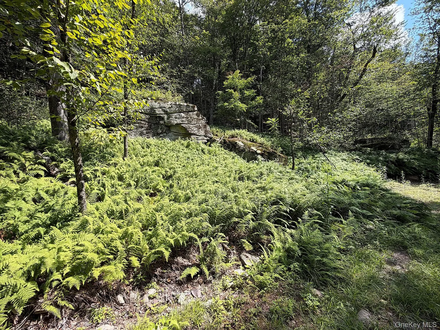 Hammer Road, Fremont, NY, ,Land,For Rent,Hammer,0,1043983 Hammer Road, Fremont, NY, ,Land,For Rent,Hammer,0,1043983