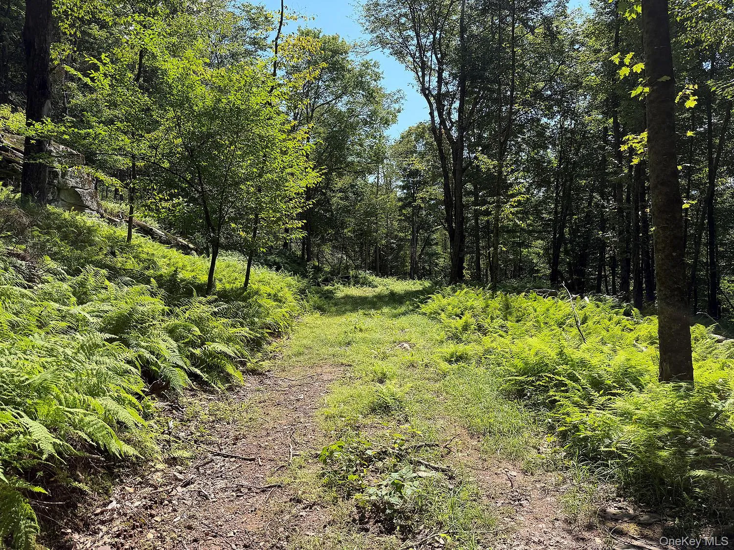 Hammer Road, Fremont, NY, ,Land,For Rent,Hammer,0,1043983 Hammer Road, Fremont, NY, ,Land,For Rent,Hammer,0,1043983