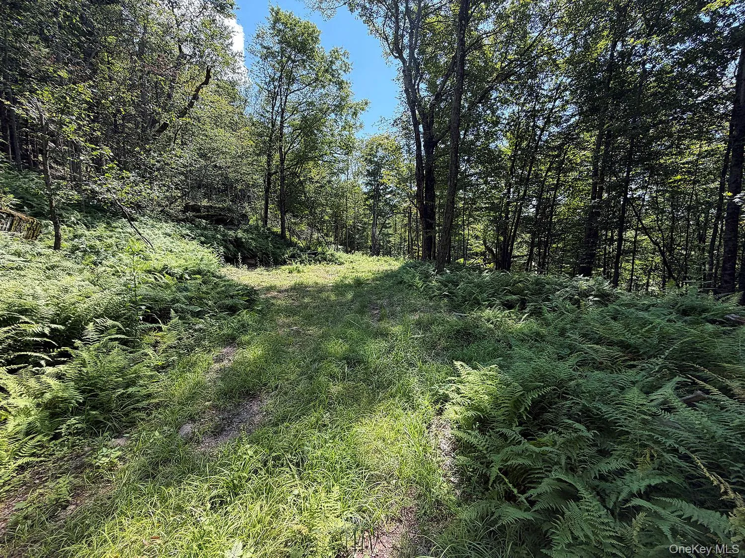 Hammer Road, Fremont, NY, ,Land,For Rent,Hammer,0,1043983 Hammer Road, Fremont, NY, ,Land,For Rent,Hammer,0,1043983