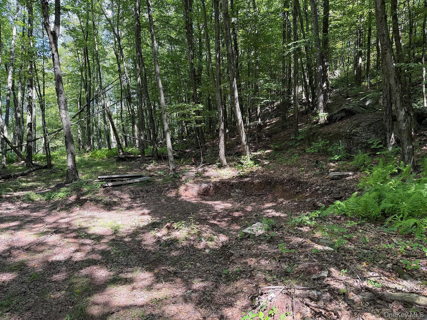 Hammer Road, Fremont, NY, ,Land,For Rent,Hammer,0,1043983 Hammer Road, Fremont, NY, ,Land,For Rent,Hammer,0,1043983