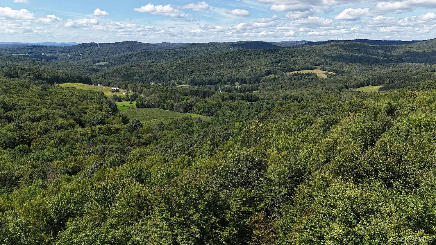 Drone view from just above tree line. Drone view from just above tree line.