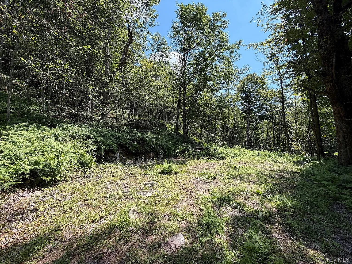 Hammer Road, Fremont, NY, ,Land,For Rent,Hammer,0,1043983 Hammer Road, Fremont, NY, ,Land,For Rent,Hammer,0,1043983