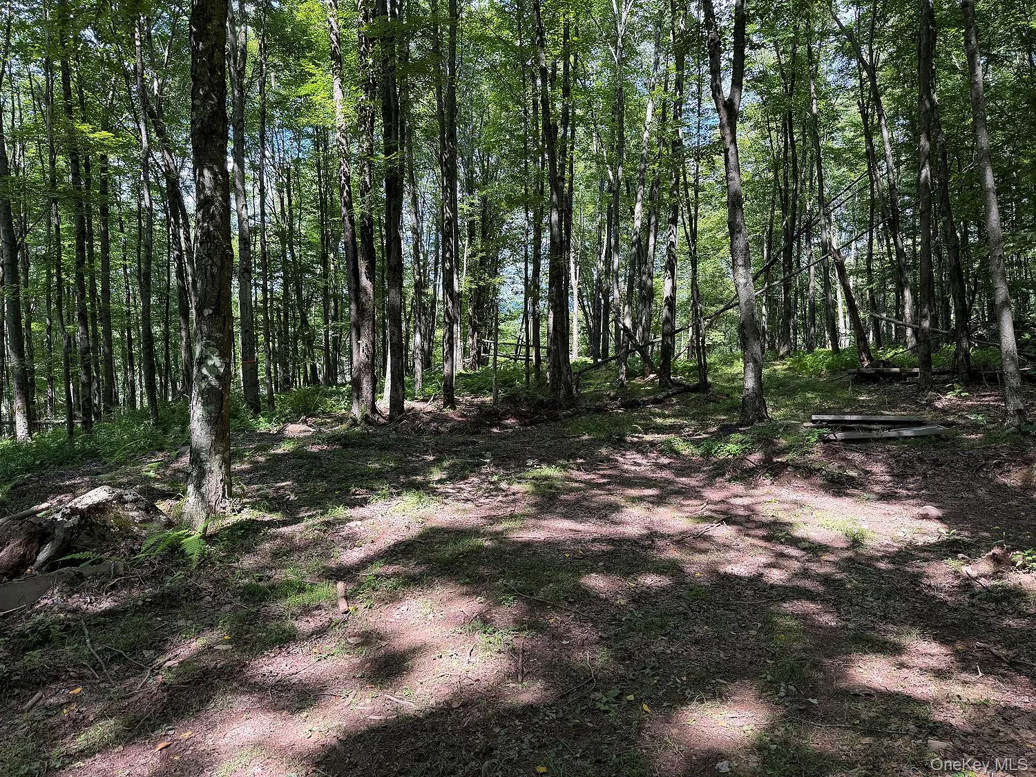 Hammer Road, Fremont, NY, ,Land,For Rent,Hammer,0,1043983 Hammer Road, Fremont, NY, ,Land,For Rent,Hammer,0,1043983