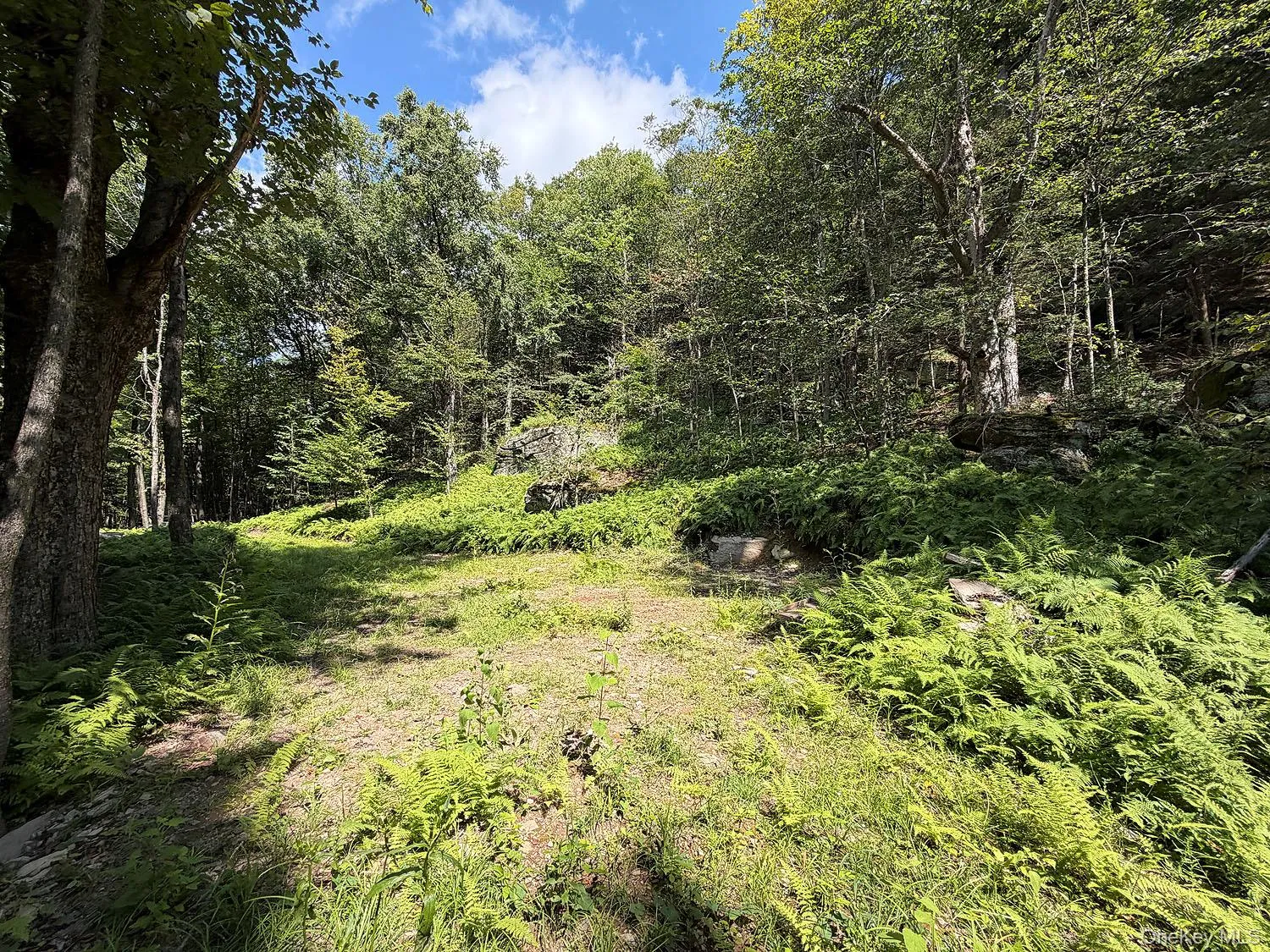 Hammer Road, Fremont, NY, ,Land,For Rent,Hammer,0,1043983 Hammer Road, Fremont, NY, ,Land,For Rent,Hammer,0,1043983