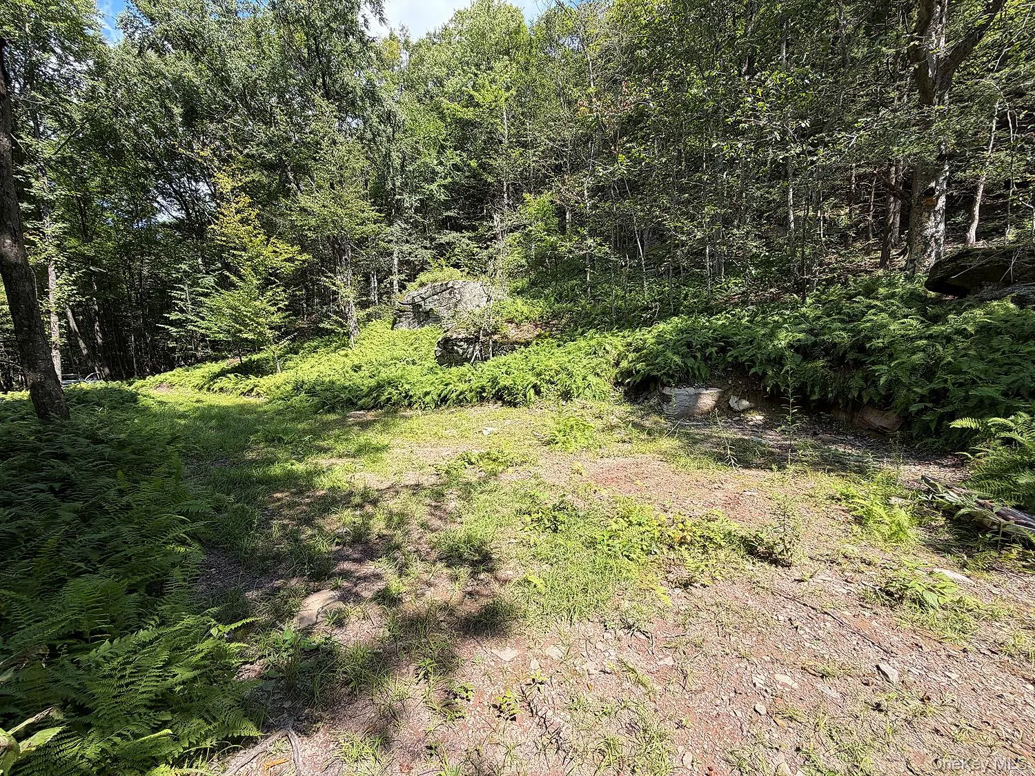 Hammer Road, Fremont, NY, ,Land,For Rent,Hammer,0,1043983 Hammer Road, Fremont, NY, ,Land,For Rent,Hammer,0,1043983