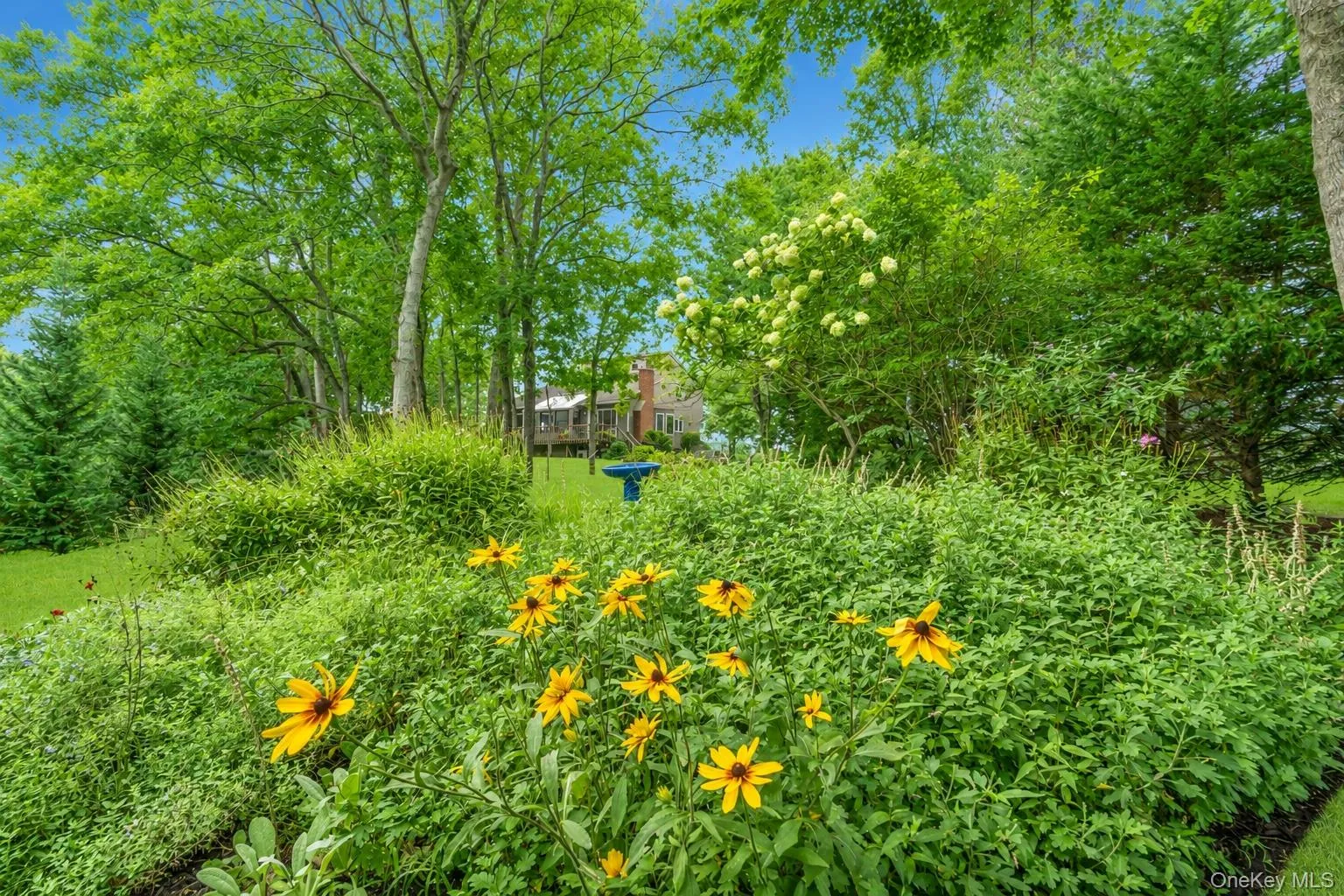 Expansive backyard with garden, flowers and creek Expansive backyard with garden, flowers and creek