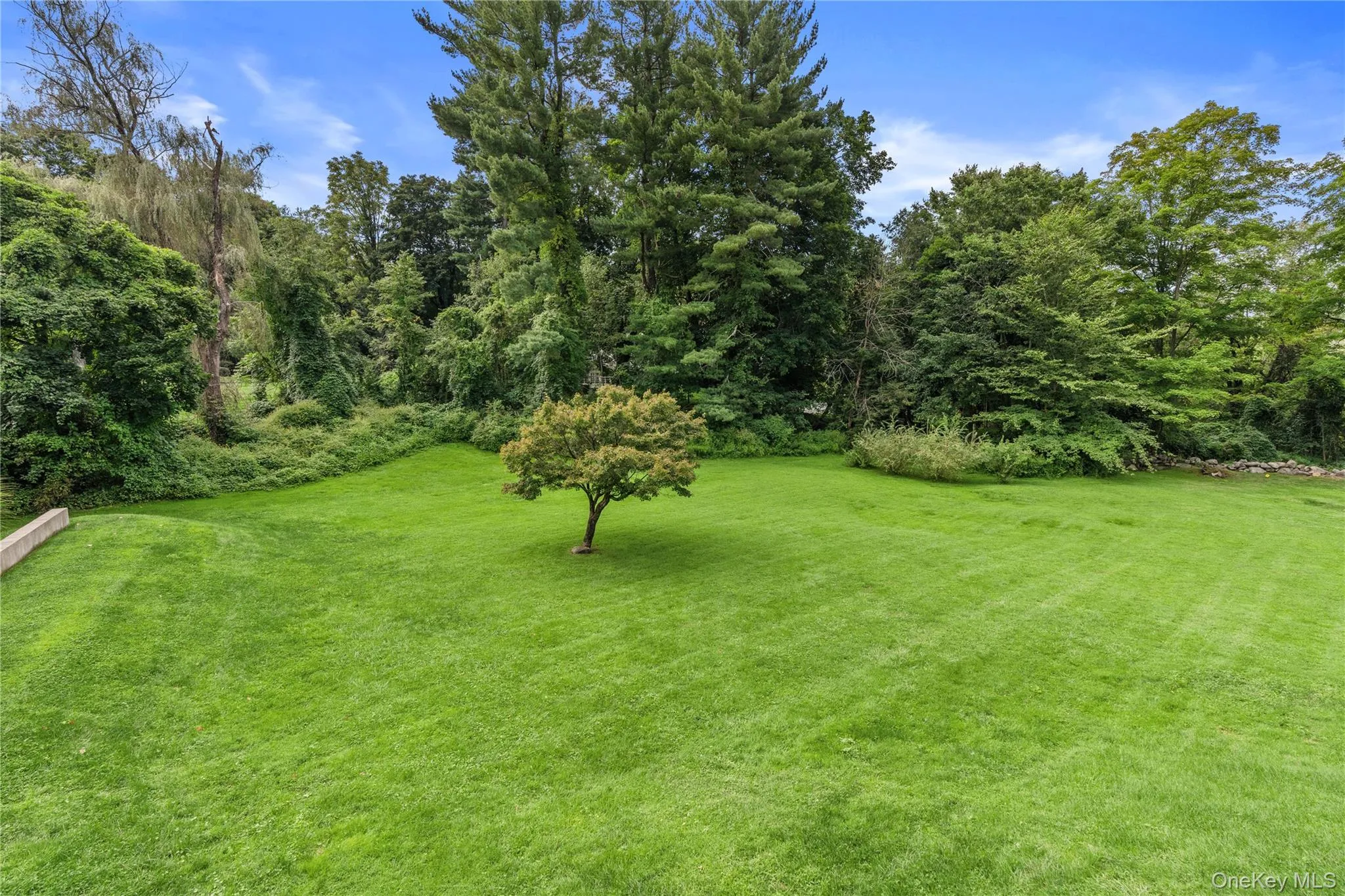 406 Bedford Road, New Castle, NY, 4 Bedrooms Bedrooms, 8 Rooms Rooms,3 BathroomsBathrooms,Residential,For Rent,Bedford,0,1044050 406 Bedford Road, New Castle, NY, 4 Bedrooms Bedrooms, 8 Rooms Rooms,3 BathroomsBathrooms,Residential,For Rent,Bedford,0,1044050