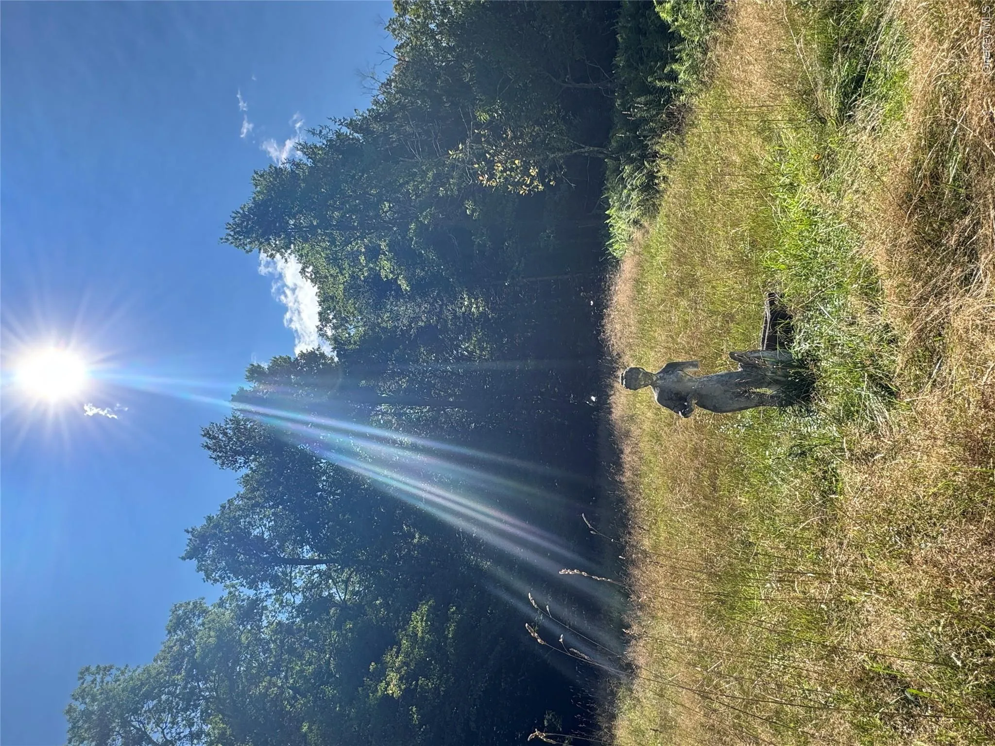 31 Willowemoc Road, Neversink, NY, 3 Bedrooms Bedrooms, 5 Rooms Rooms,1 BathroomBathrooms,Residential,For Rent,Willowemoc,0,1044066 31 Willowemoc Road, Neversink, NY, 3 Bedrooms Bedrooms, 5 Rooms Rooms,1 BathroomBathrooms,Residential,For Rent,Willowemoc,0,1044066