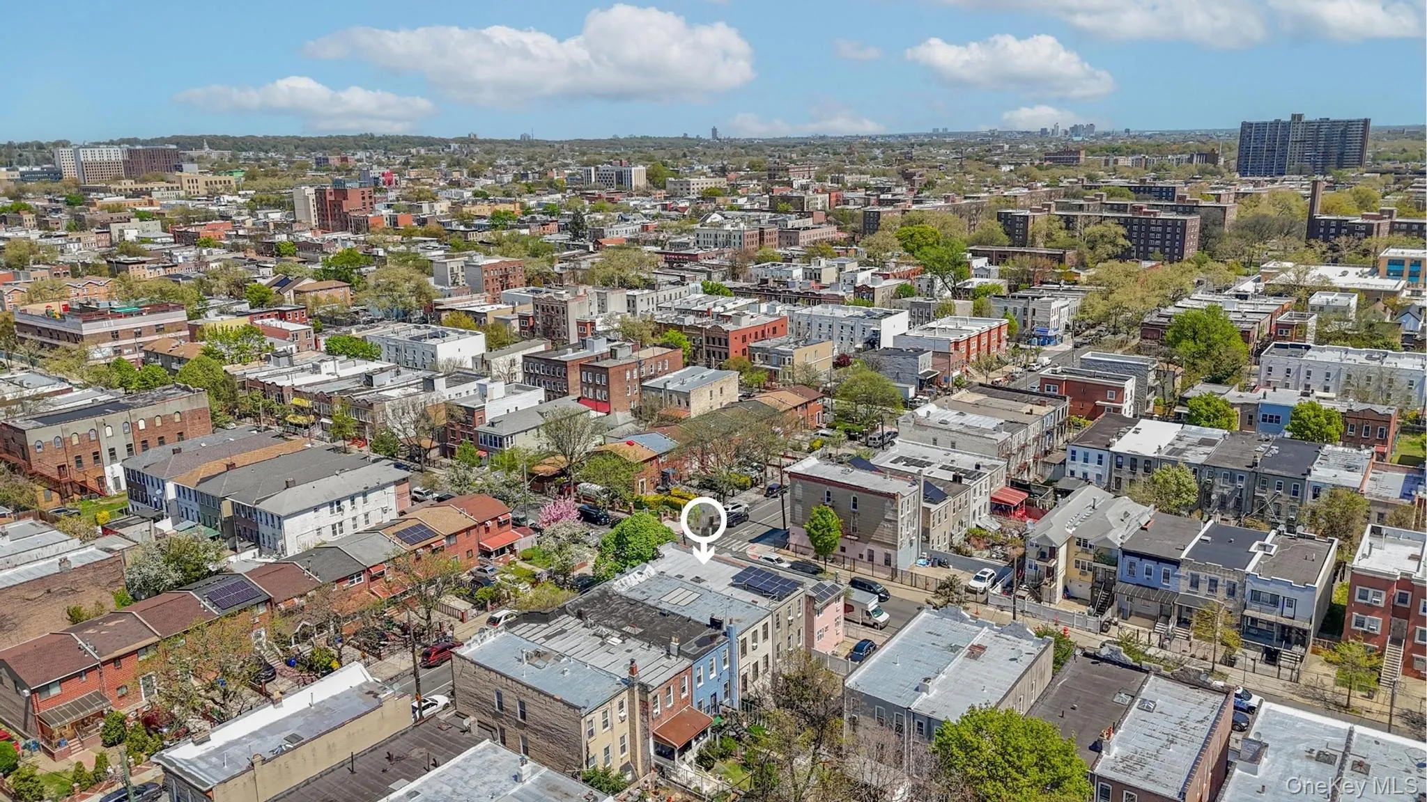 1086 Blake Avenue, New York, NY, 4 Bedrooms Bedrooms, 12 Rooms Rooms,3 BathroomsBathrooms,Residential,For Rent,Blake,0,1044086 1086 Blake Avenue, New York, NY, 4 Bedrooms Bedrooms, 12 Rooms Rooms,3 BathroomsBathrooms,Residential,For Rent,Blake,0,1044086