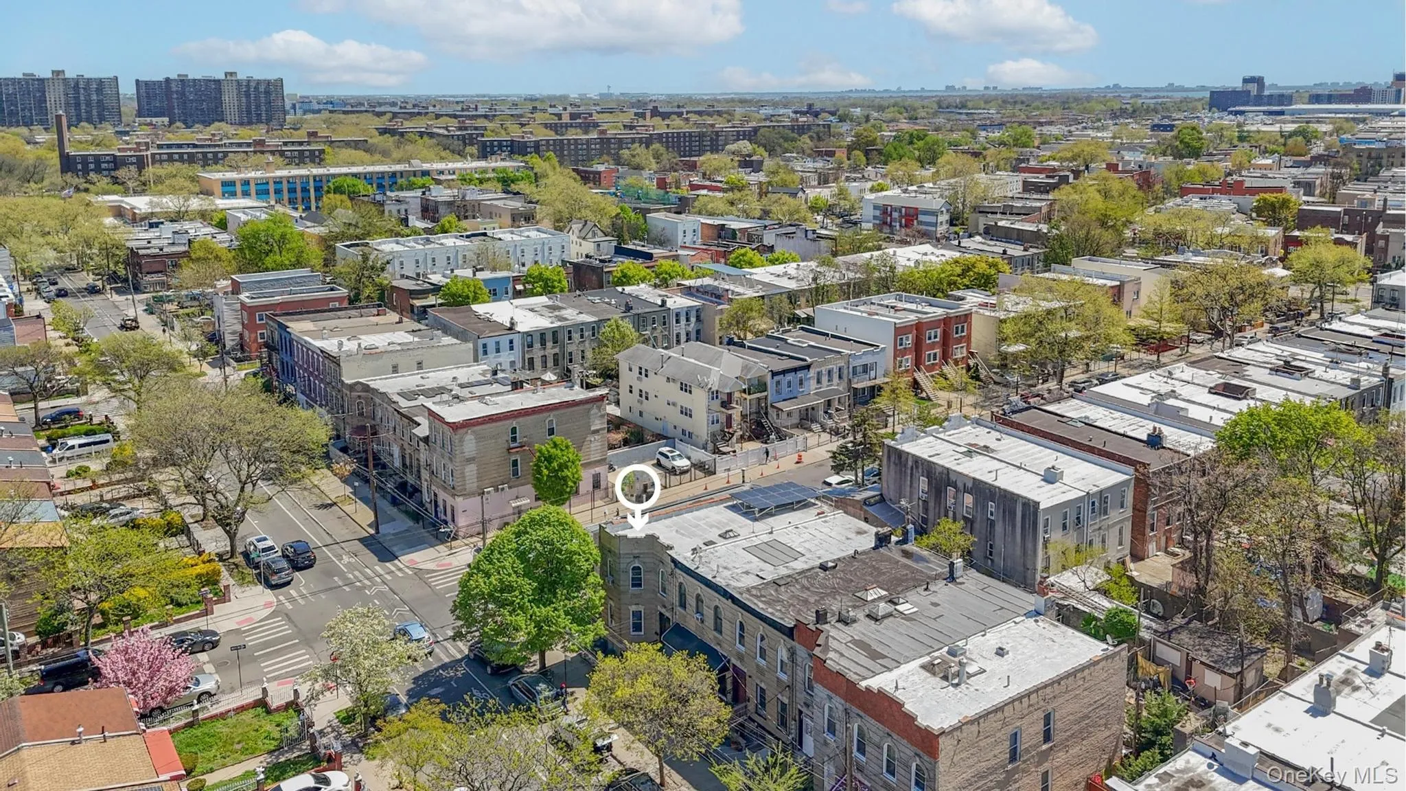 1086 Blake Avenue, New York, NY, 4 Bedrooms Bedrooms, 12 Rooms Rooms,3 BathroomsBathrooms,Residential,For Rent,Blake,0,1044086 1086 Blake Avenue, New York, NY, 4 Bedrooms Bedrooms, 12 Rooms Rooms,3 BathroomsBathrooms,Residential,For Rent,Blake,0,1044086