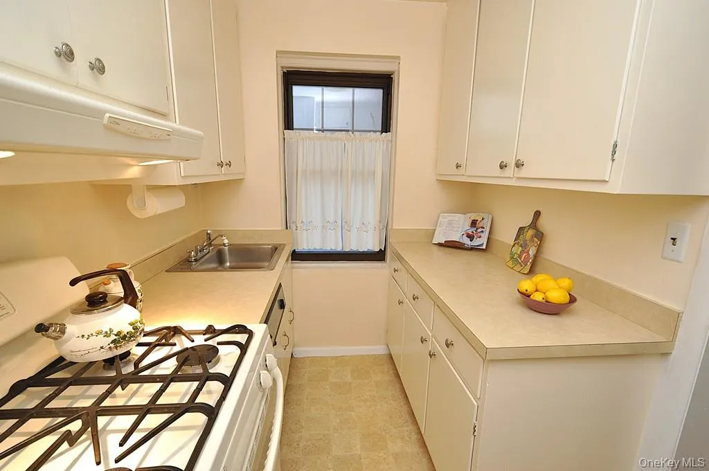 The kitchen has plenty of cabinets and counter space and even a window for natural light and ventilation. The kitchen has plenty of cabinets and counter space and even a window for natural light and ventilation.