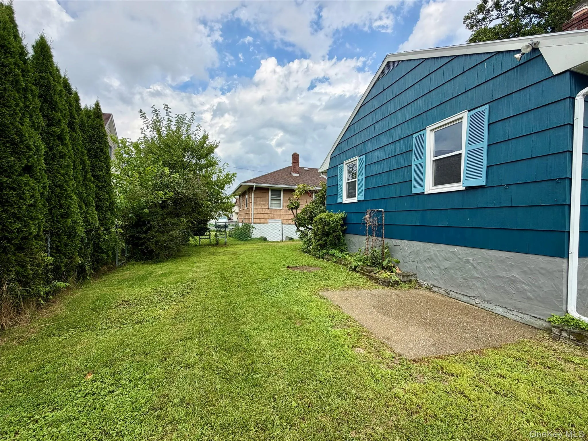 Expansive lawn area with mature privacy trees and a concrete patio Expansive lawn area with mature privacy trees and a concrete patio