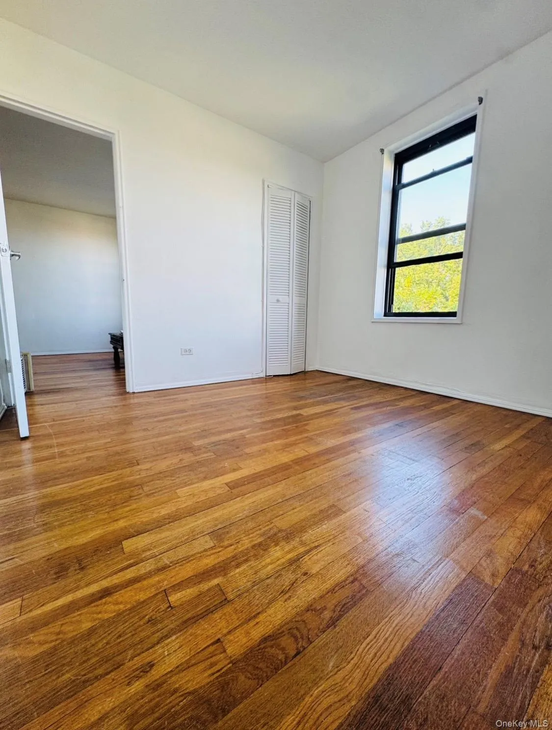 89-20 55th Avenue, New York, NY, 2 Bedroom Bedrooms, 3 Room Rooms,1 BathroomBathrooms,Residential Lease,For Rent,55th,0,1044171 89-20 55th Avenue, New York, NY, 2 Bedroom Bedrooms, 3 Room Rooms,1 BathroomBathrooms,Residential Lease,For Rent,55th,0,1044171
