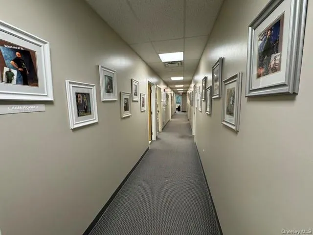 384 Crystal Run Road, Middletown, NY, ,Commercial Lease,For Rent,Crystal Run,0,1044174 384 Crystal Run Road, Middletown, NY, ,Commercial Lease,For Rent,Crystal Run,0,1044174