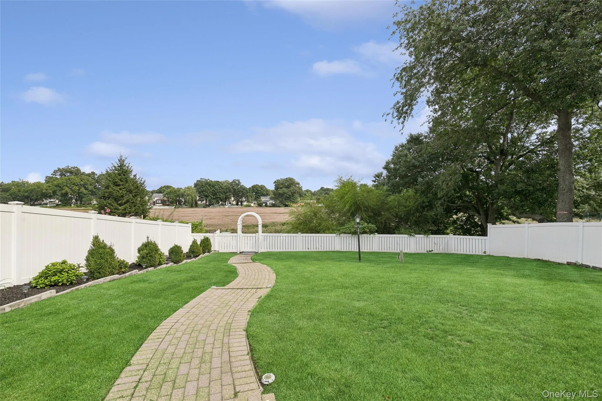 Expansive green lawn with a curved paver pathway Expansive green lawn with a curved paver pathway